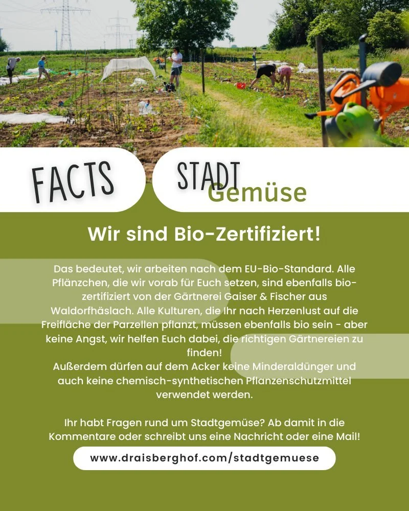 STADTGEM&Uuml;SE FACTS // Wir sind Bio-Zertifiziert!

Das bedeutet, wir arbeiten nach dem EU-Bio-Standard. Alle Pfl&auml;nzchen, die wir vorab f&uuml;r Euch setzen, sind ebenfalls bio-zertifiziert von der G&auml;rtnerei Gaiser &amp; Fischer aus Waldo