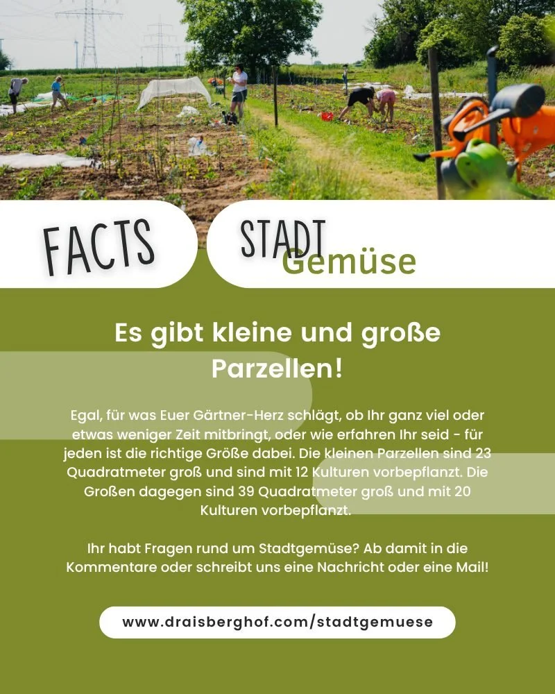 STADTGEM&Uuml;SE FACTS // Es gibt kleine und gro&szlig;e Parzellen!

Egal, f&uuml;r was Euer G&auml;rtner-Herz schl&auml;gt, ob Ihr ganz viel oder etwas weniger Zeit mitbringt, oder wie erfahren Ihr seid - f&uuml;r jeden ist die richtige Gr&ouml;&szl