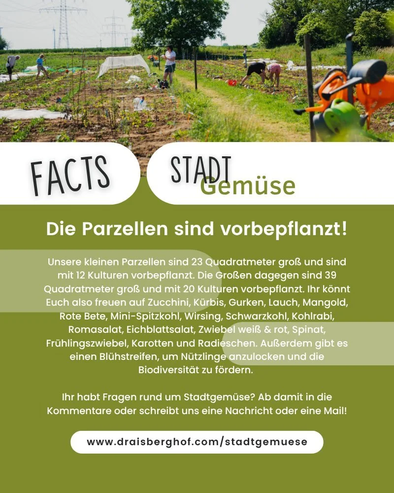 STADTGEM&Uuml;SE FACTS // Die Parzellen sind vorbepflanzt!

Unsere kleinen Parzellen sind 23 Quadratmeter gro&szlig; und sind mit 12 Kulturen vorbepflanzt. Die Gro&szlig;en dagegen sind 39 Quadratmeter gro&szlig; und mit 20 Kulturen vorbepflanzt. Ihr