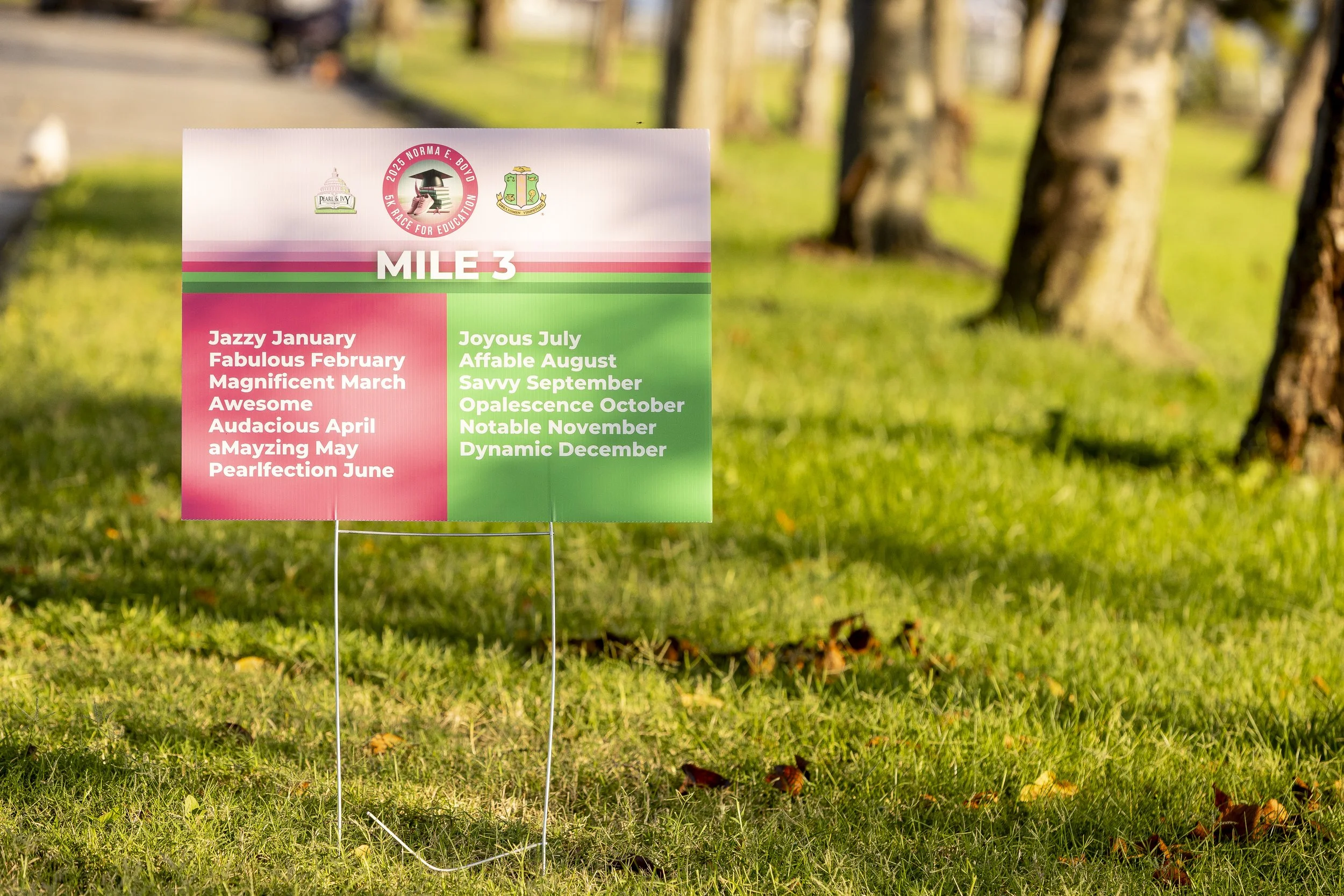 20250928_NEB5K_1113.jpg