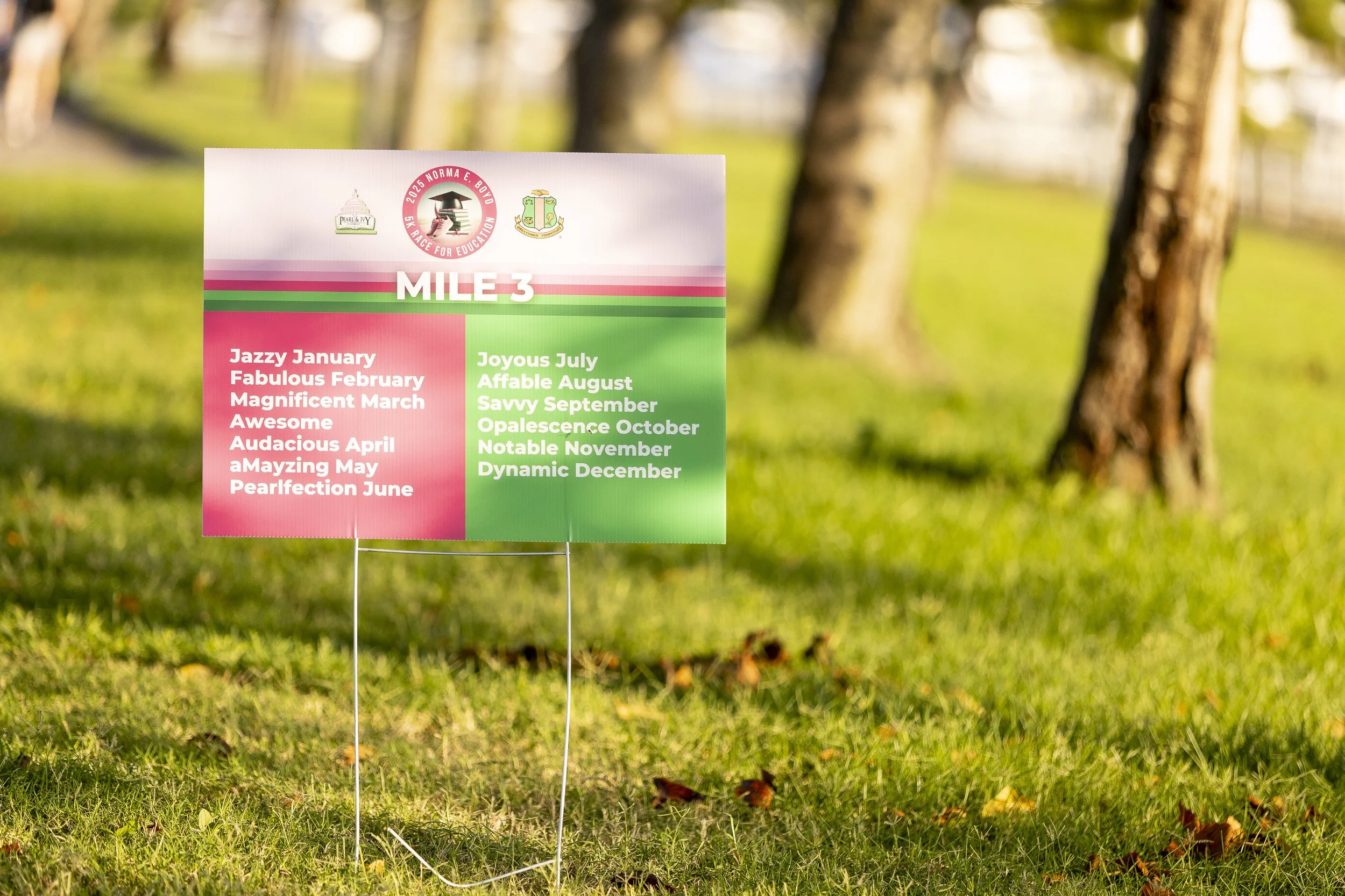 20250928_NEB5K_1106.jpg
