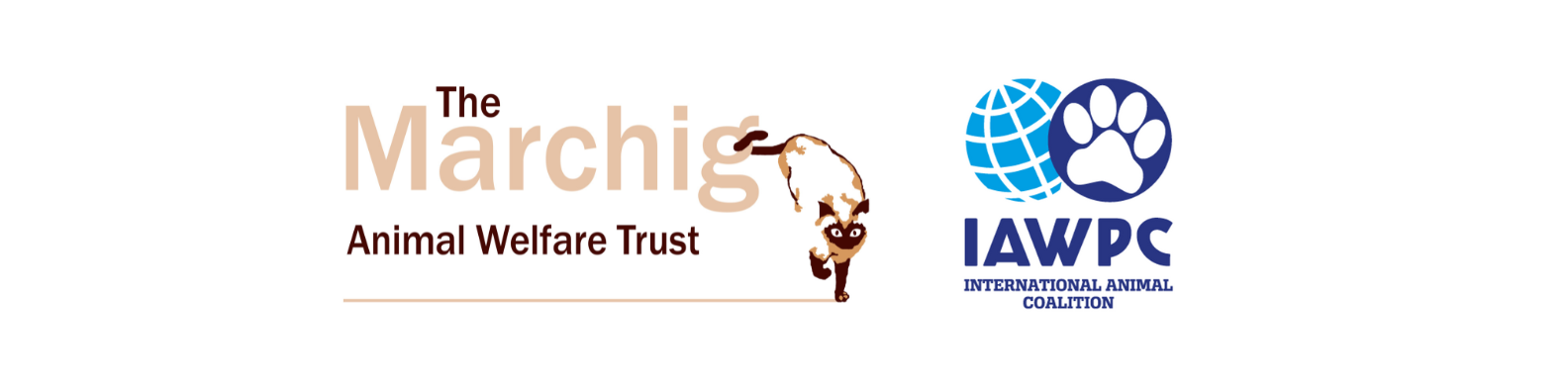 Les Ward MBE, Chairman, Marchig Animal Welfare Trust and International Animal Coalition 