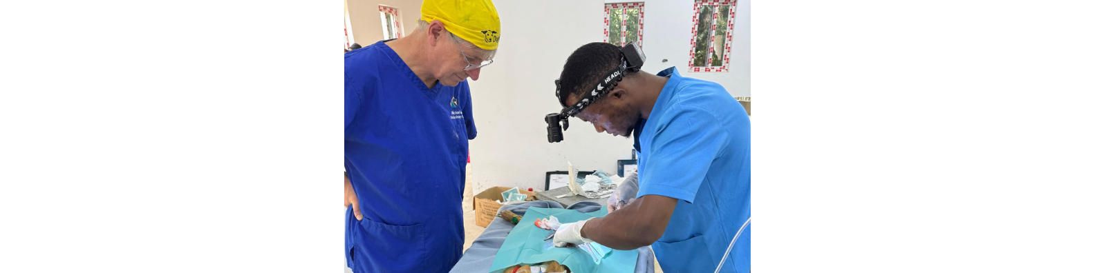 Michael, Veterinary Surgeon, Dublin