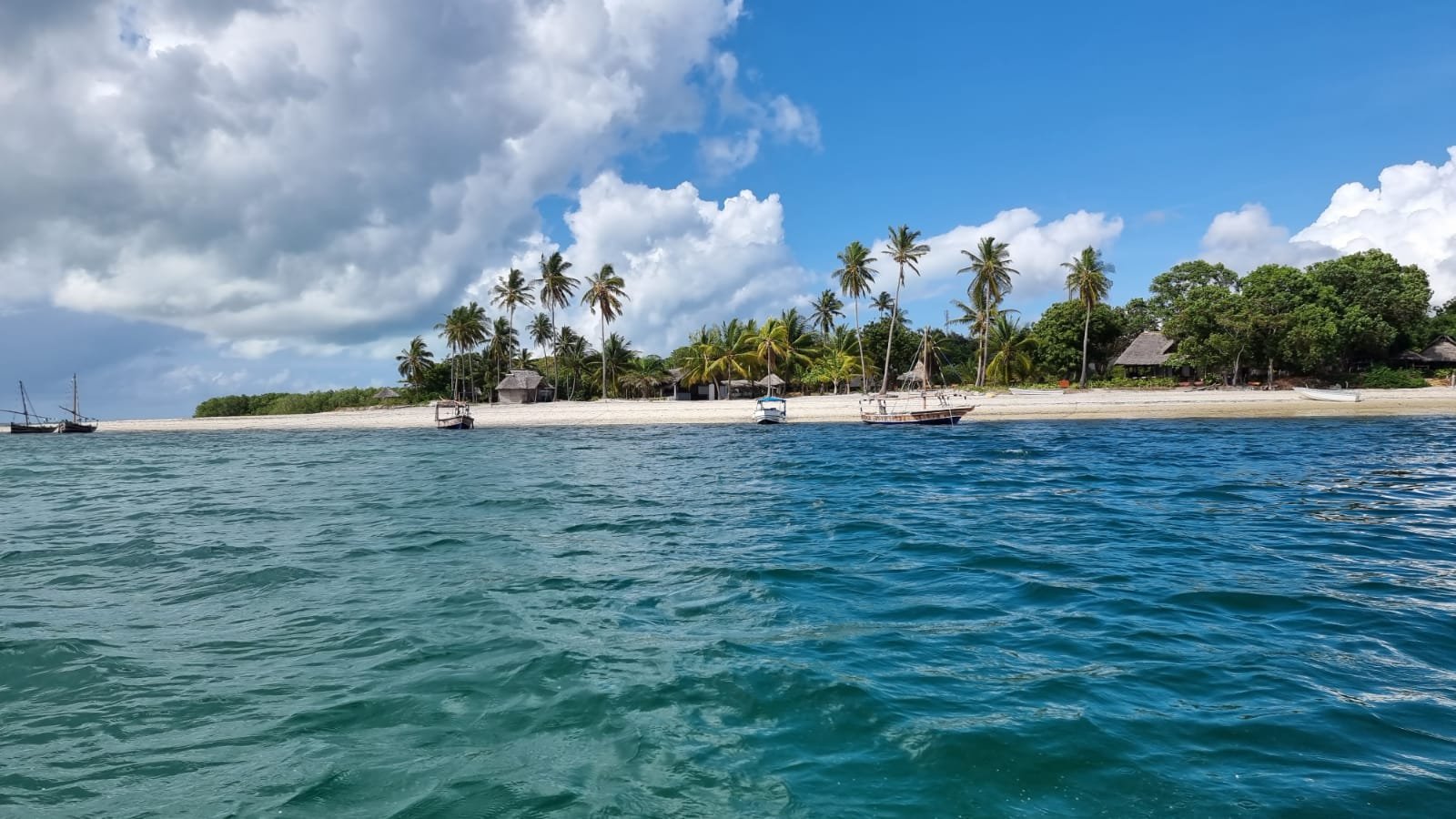 Mafia island: a tropical paradise