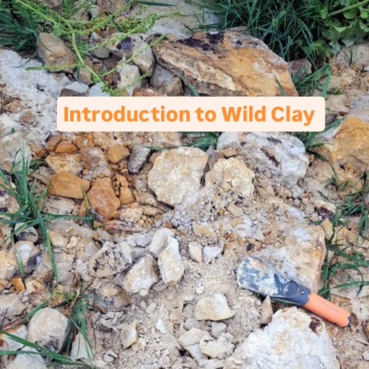 Introduction to Wild Clay
4 week short course - Friday 16th January - Friday 6th February 2026.
Time: 13:30am - 15:30pm
Teacher:&nbsp; Kim Kish
Fee: &pound;110.00

This short course is designed for anyone interested in learning how to work with wild,