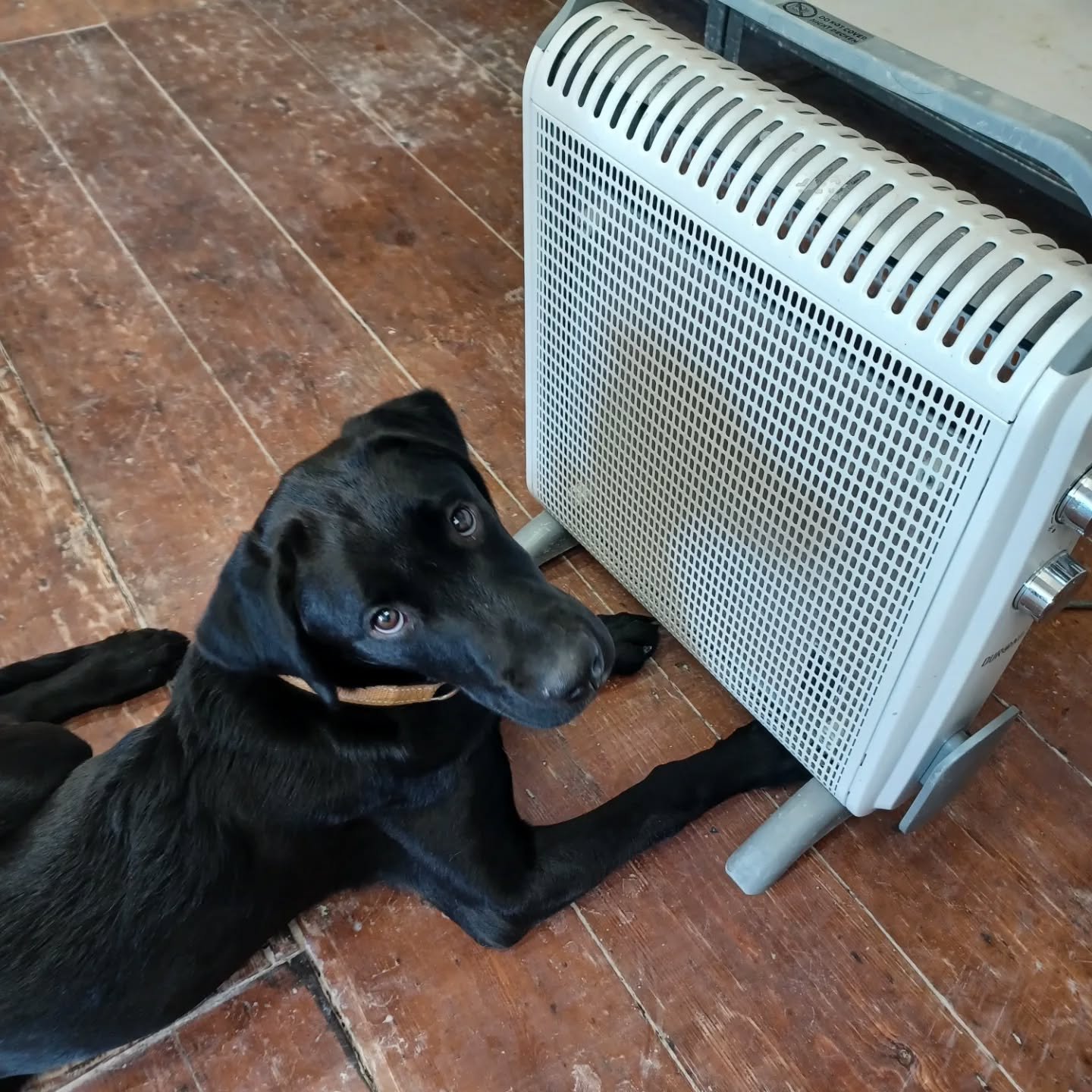 We know it's cold in the studio this week. It should start to warm up with the kilns running again and students back. 
But as we go into the coldest time of the year wear lots of layers, use an old pair of socks and cut off the toes to make arm warme