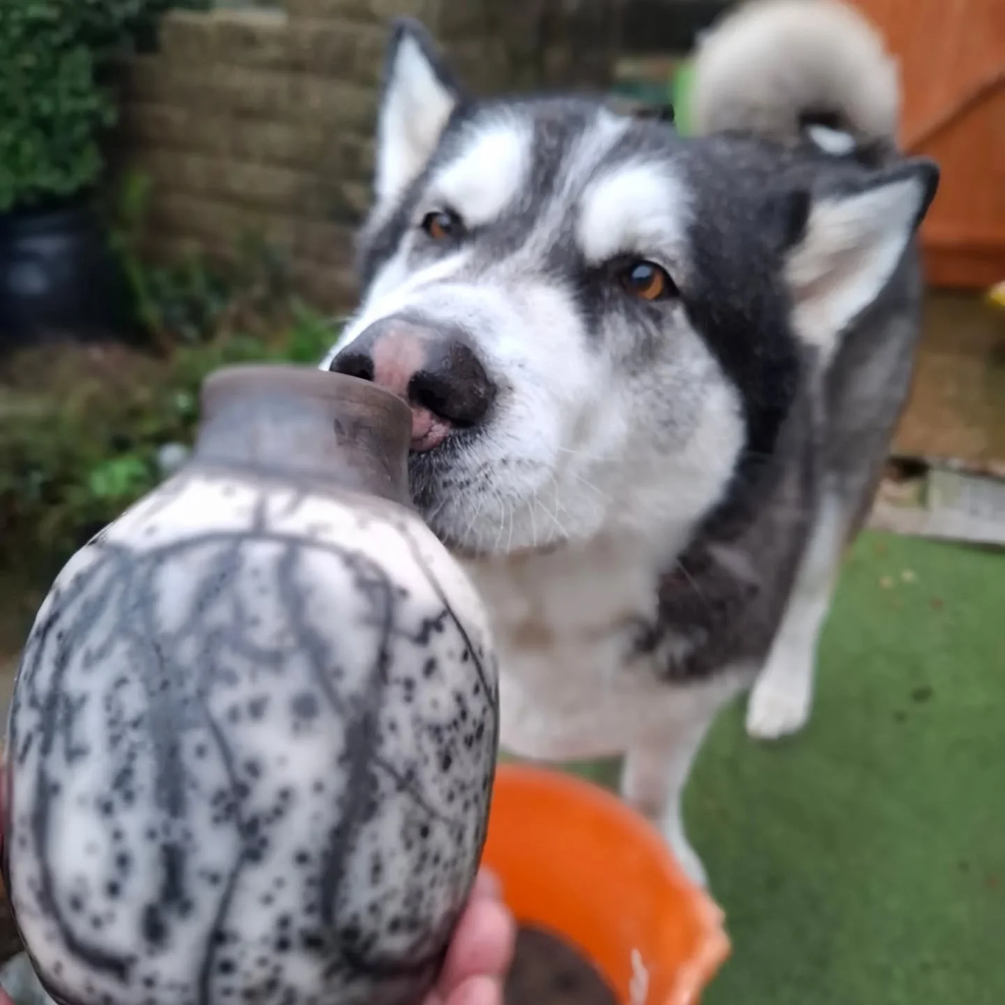 Raku Test Firing
We are working on perfecting the naked raku glaze firing schedule so this is something we can offer to students later this year. 
It rained pretty much throughout but we had some good results with slip and glaze and reduction bin tim