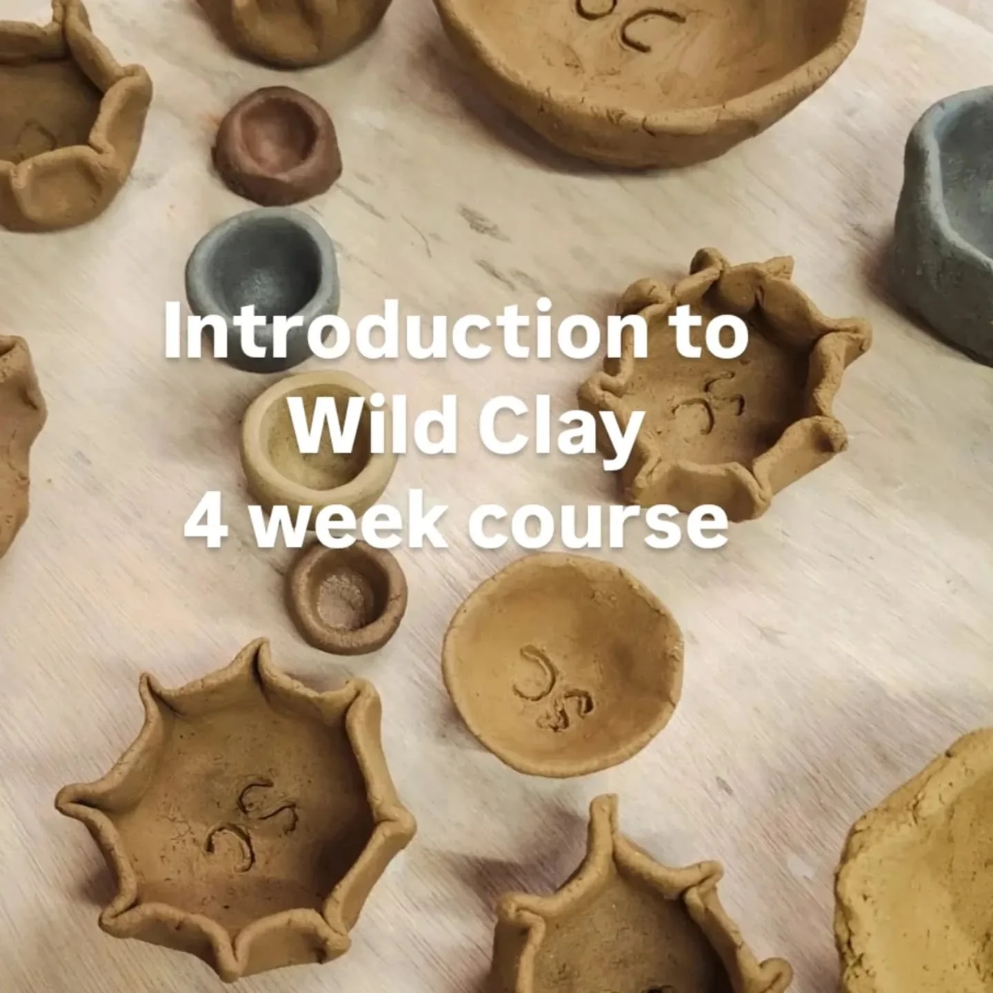 This short course is designed for anyone interested in learning how to work with wild, locally sourced clay as a material. Most commercial clays available today have gone through extensive industrial processing- they are mined, refined, and often ble
