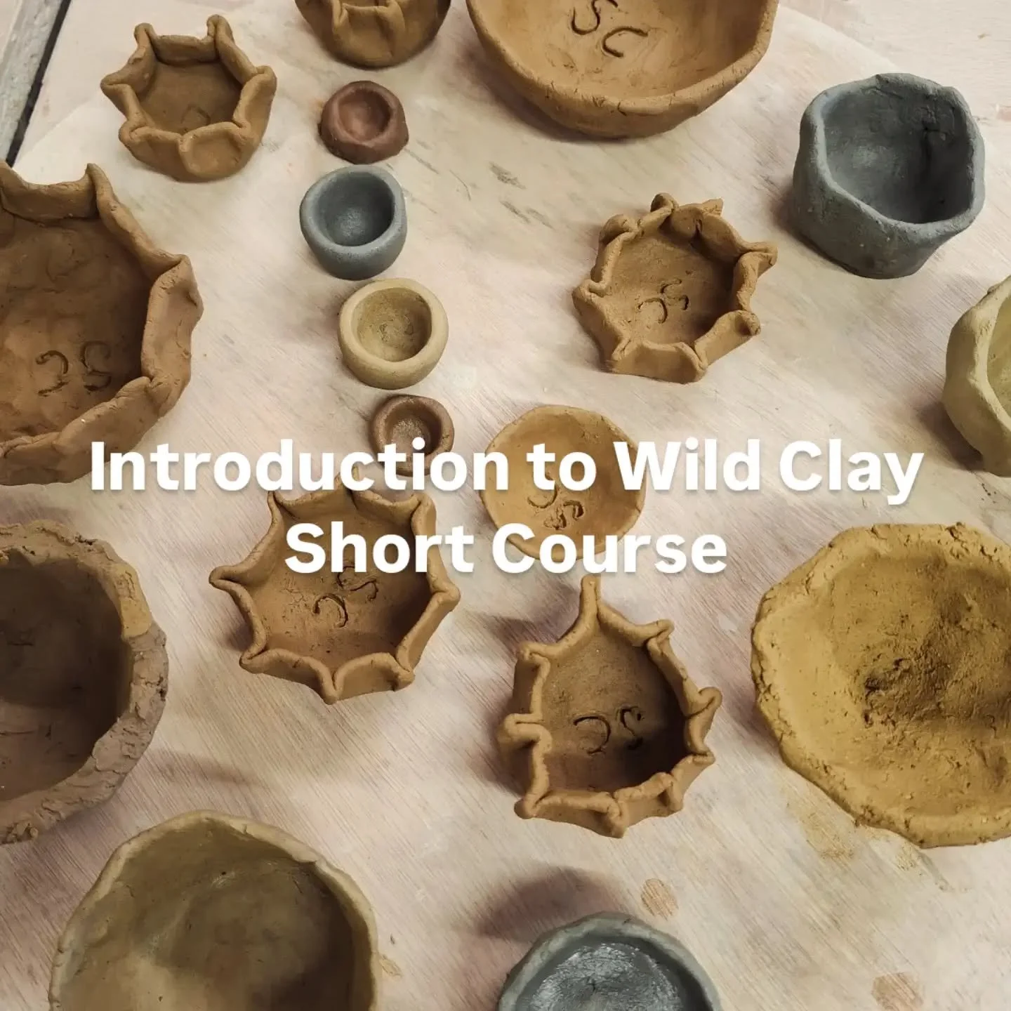 This short course is designed for anyone interested in learning how to work with wild, locally sourced clay as a material. Most commercial clays available today have gone through extensive industrial processing- they are mined, refined, and often ble