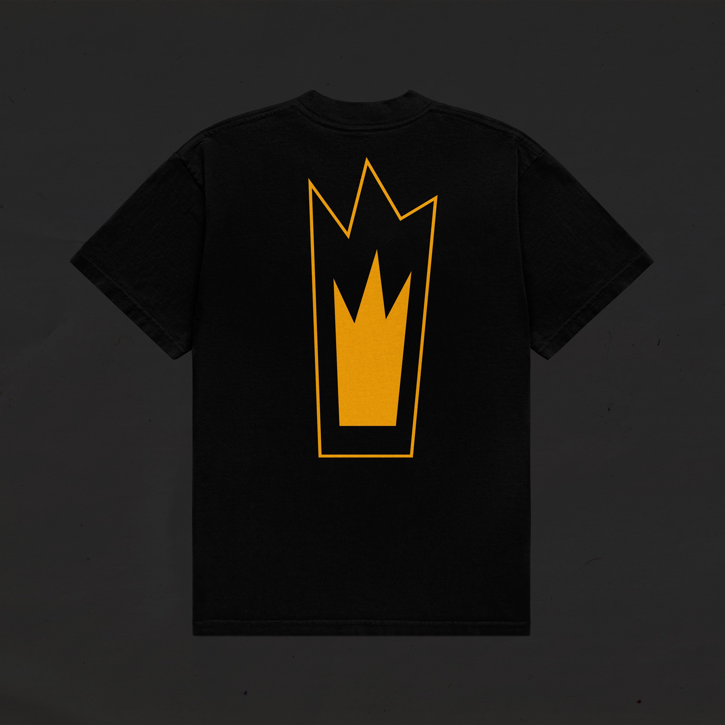 2022-LJT-Shirt-Back-MockUp_1zu1.jpg