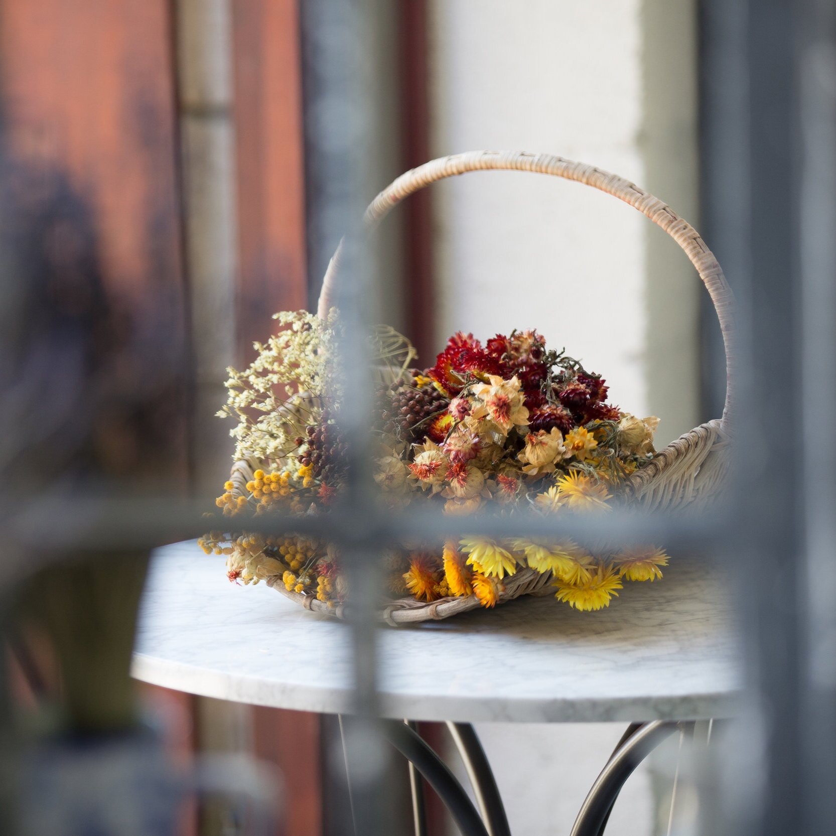Cut+Flower+Patch+Workshop+Near+Bath.jpg