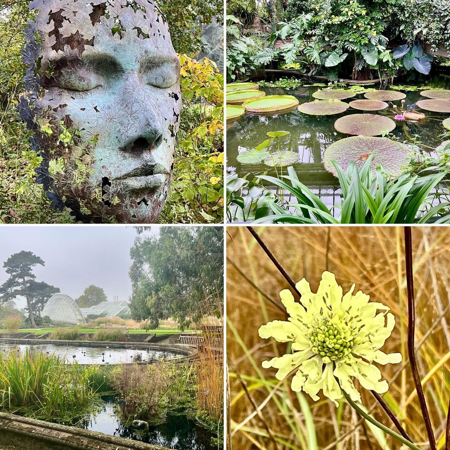 Yesterday we attended Plant Heritage&rsquo;s Collection Holder Conference 2024, which was hosted at Royal Botanic Gardens, Kew. Our thanks to Plant Heritage for organising a very insightful Conference. We learned a great deal from this event, in part