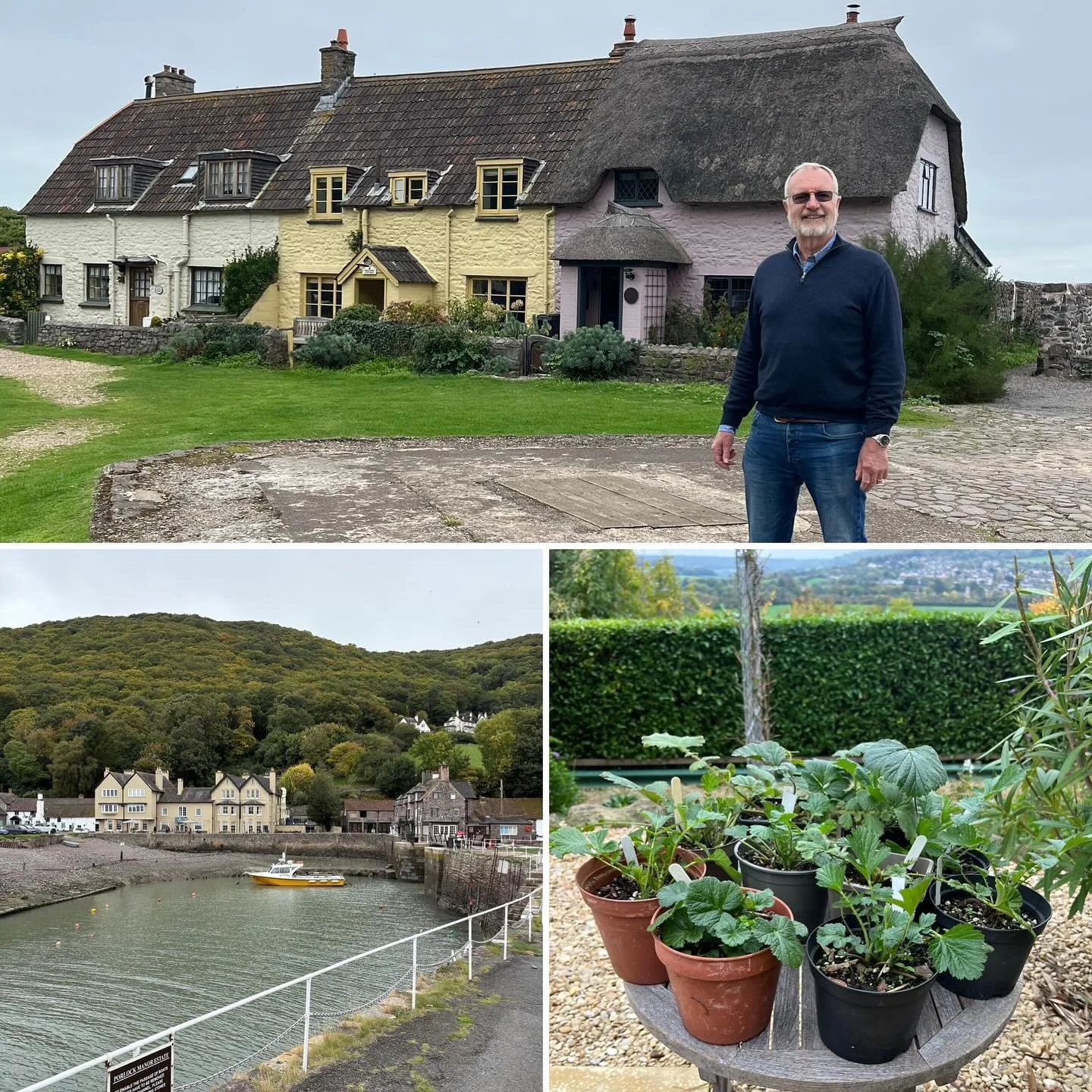 We&rsquo;ve travelled the breadth of England in recent days to deliver our own Geum stock and  to acquire missing plants  for a new collection that we are building. The last place we visited was  Elworthy Cottage Plants in Somerset. We used Plant Fin
