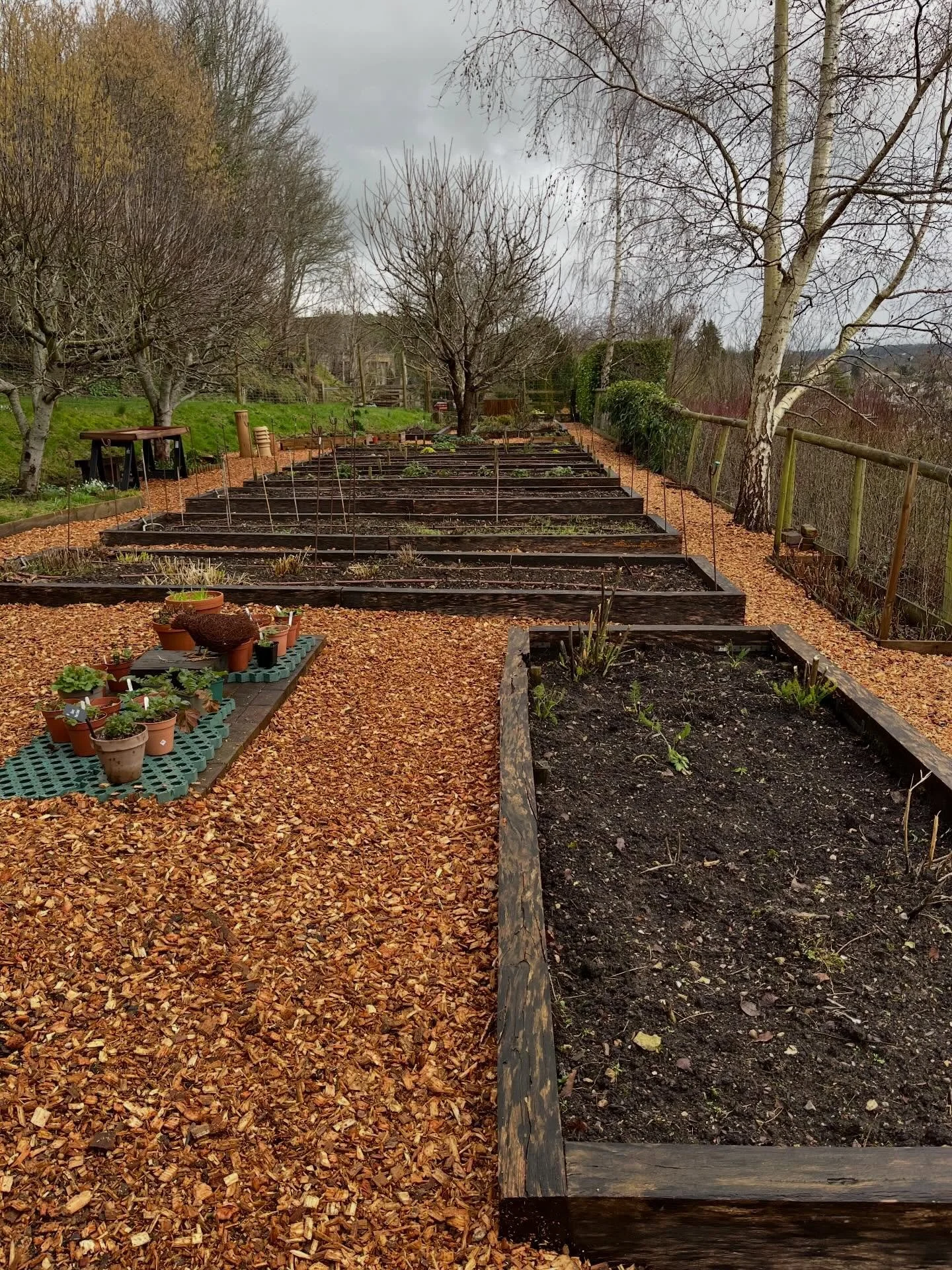 With just over 80 days to go before we open our garden for the National Garden Scheme, we are currently about halfway through a very long list of preparations. While the weather has been challenging lately, as any keen gardener will attest, we are ho
