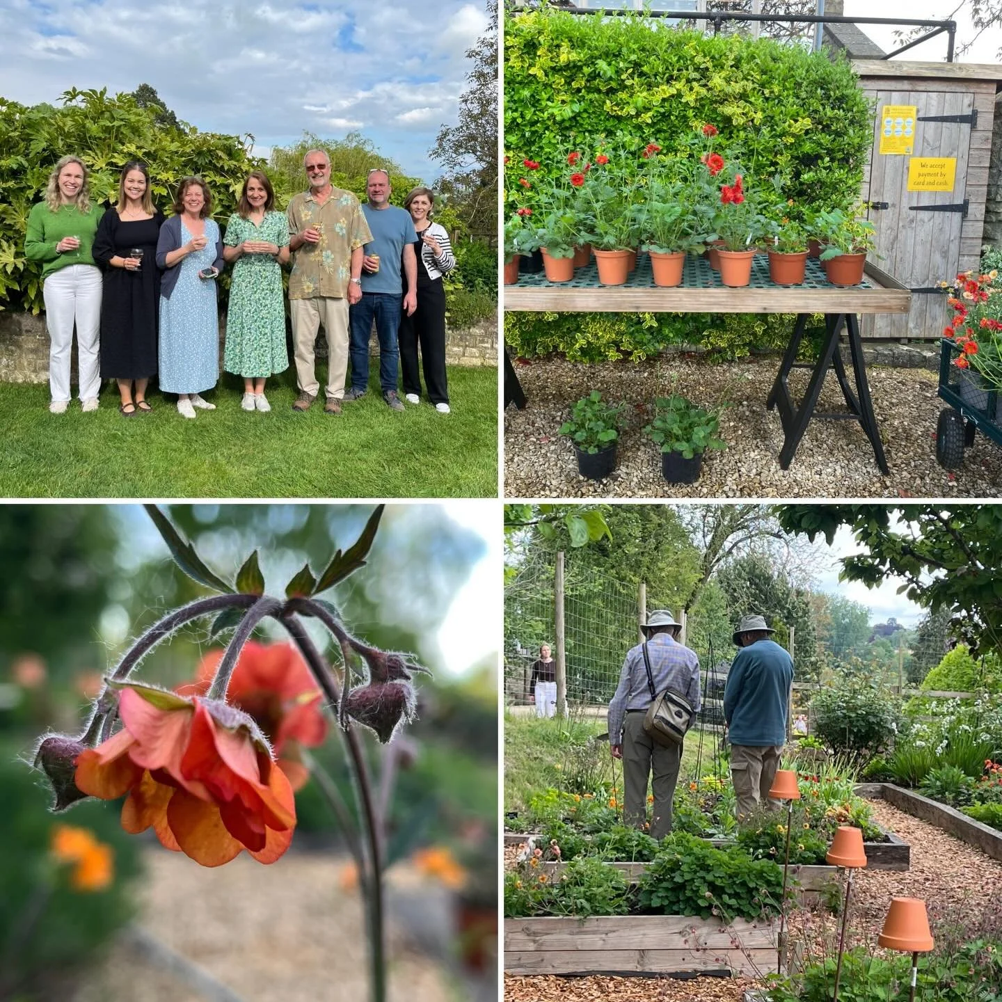 We would like to extend a huge thank you to everyone who volunteered or visited our National Garden Scheme open day last Sunday. It takes a significant amount of preparation to get ready for an event like this, and it is always a bit nerve-racking wo