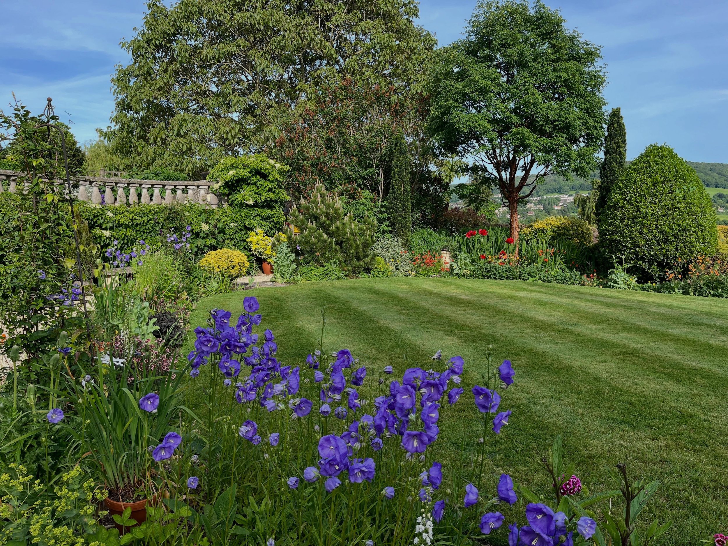 The garden borders have really come to life in recent weeks with the full flowering of spring blooms.