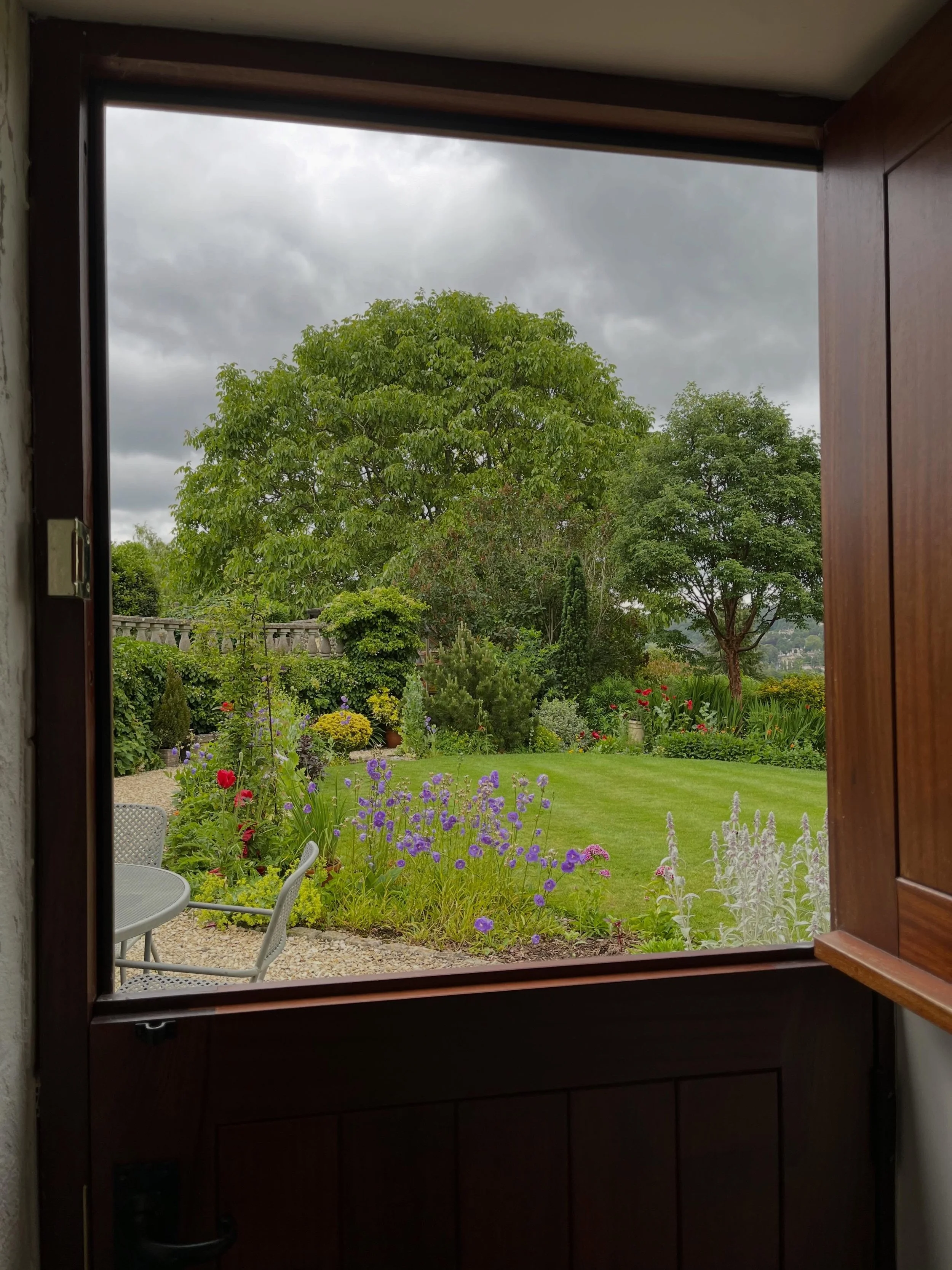 Our main lawn garden border changes colour with the season. At this time of year it should be dominated by a mix of red oriental poppies, tall blue campanula and white verbascum. However, the mullein caterpillars have stripped our verbascum of its fo