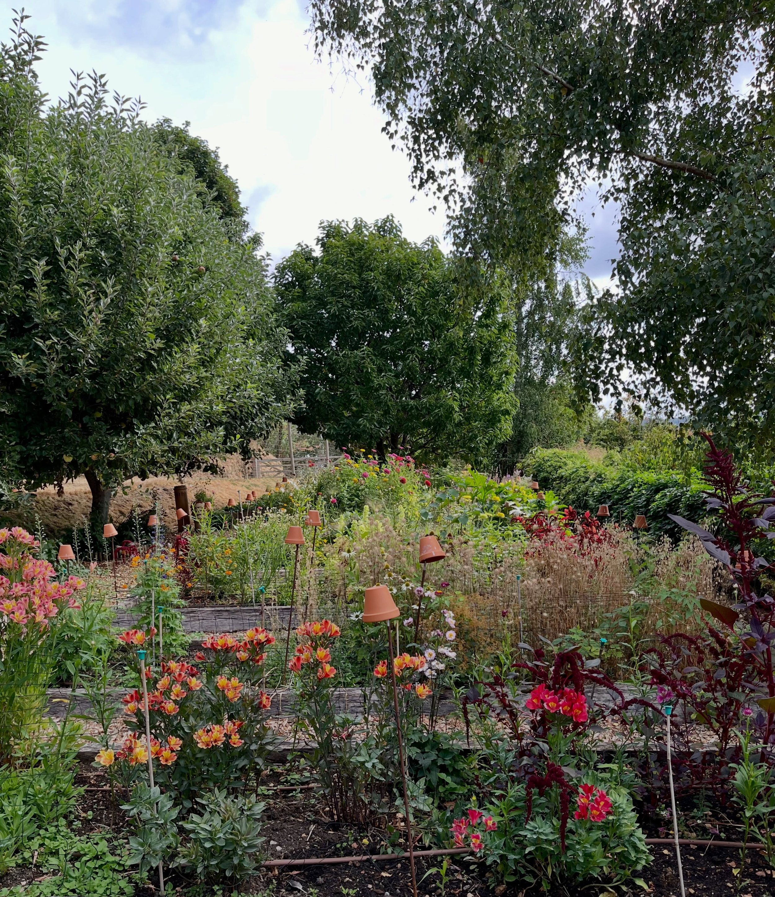 As summer ends, we will soon need to clear our flower beds and prepare for next year&rsquo;s season.