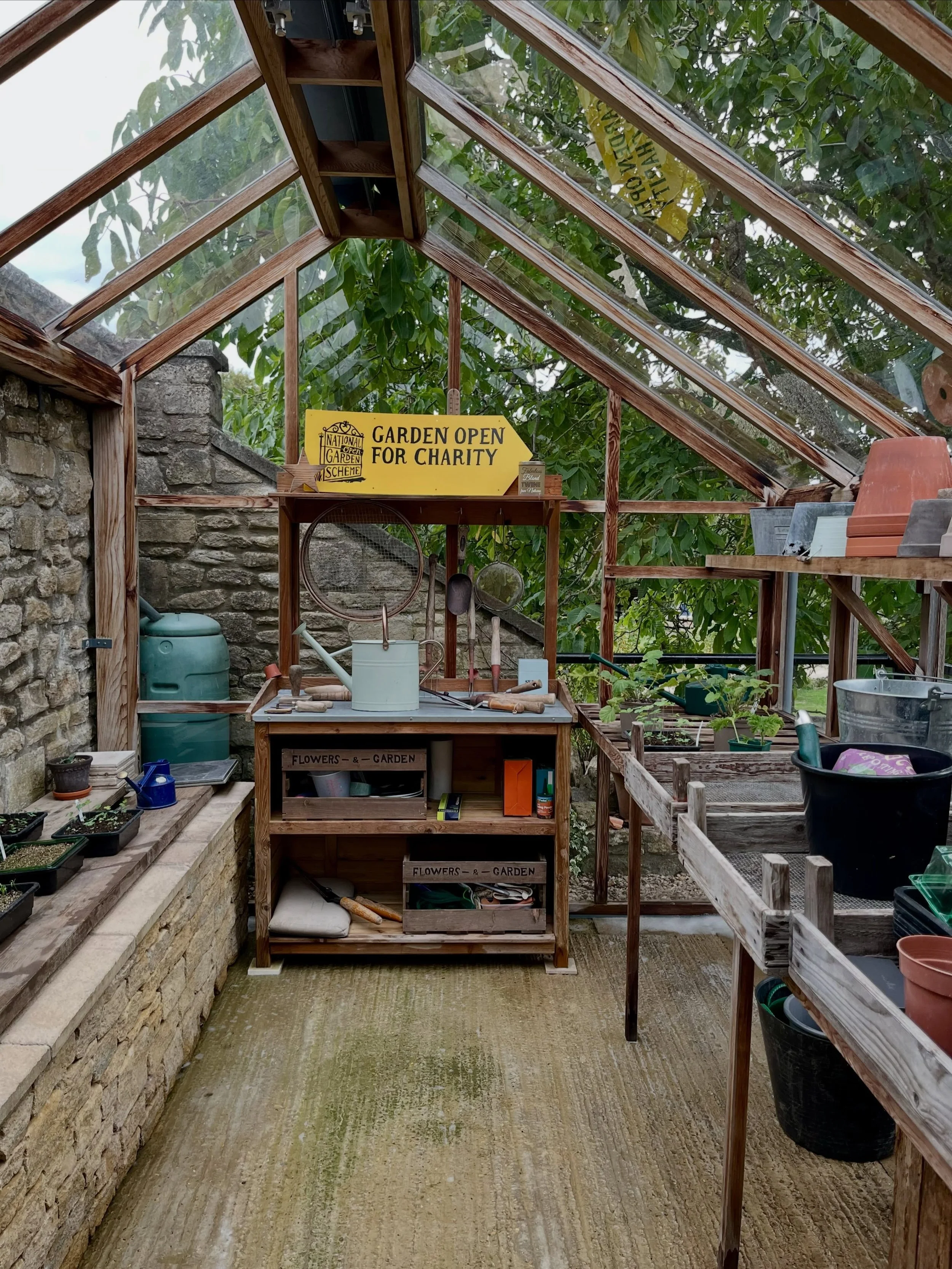 I always feel the need to share a photo once our greenhouse is sparkling clean. It only gets done properly once a year, taking two of us a full day of hard work, but it is essential for growing healthy plants.

We already have several seed trays in p