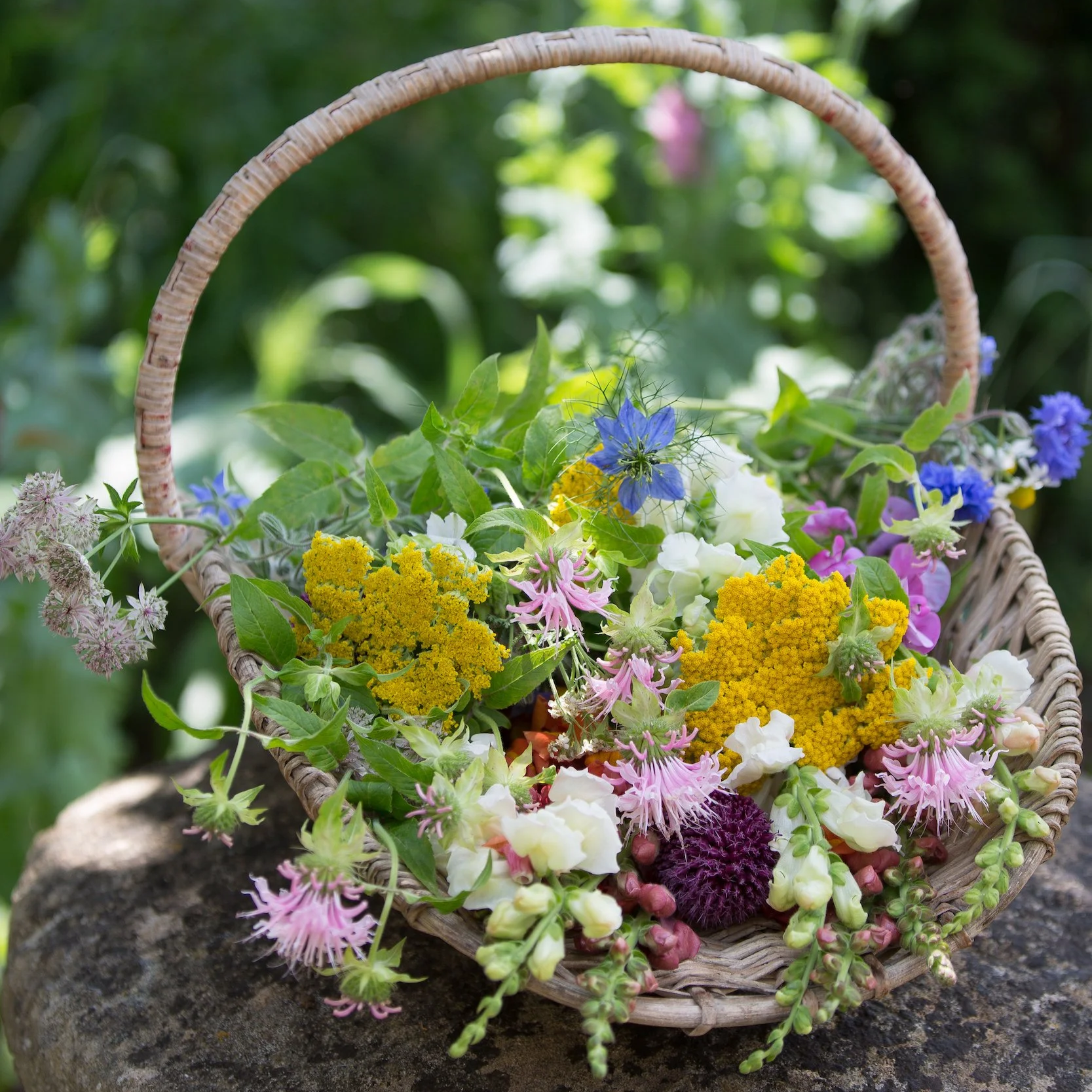 Grow-Your-Own-Cut-Flower-Patch-Workshop.png