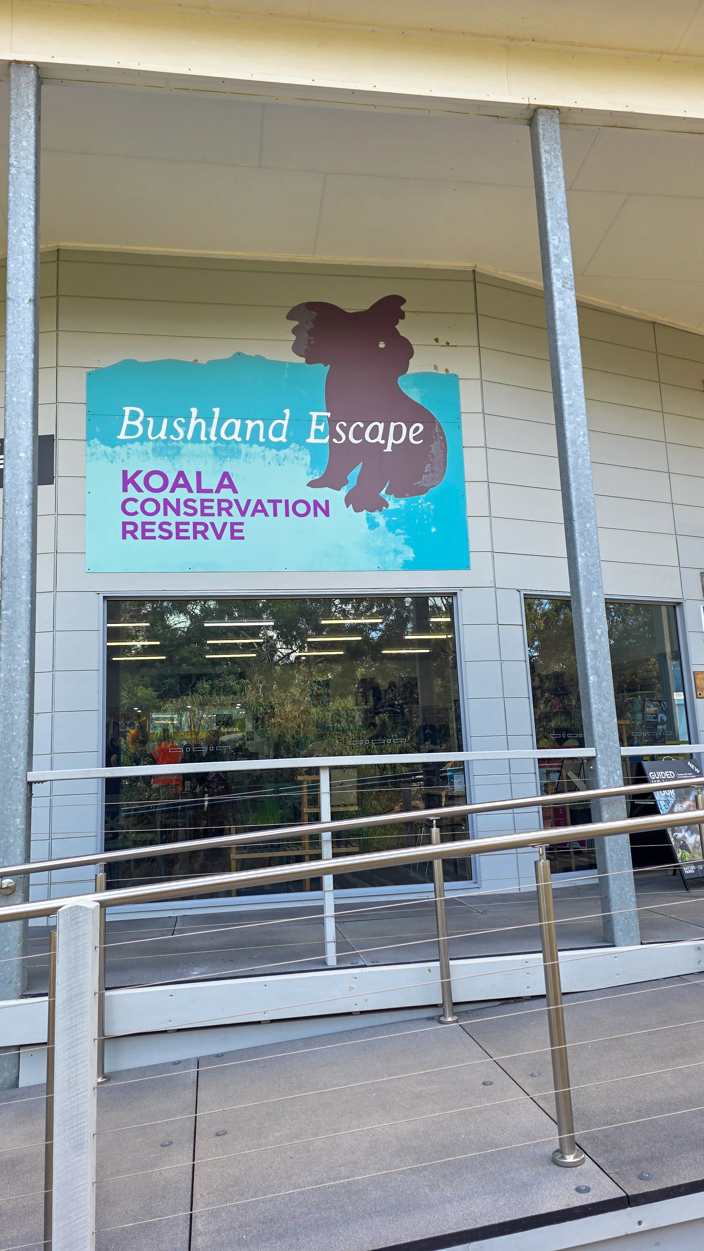 Koala Conservation Park Phillip Island