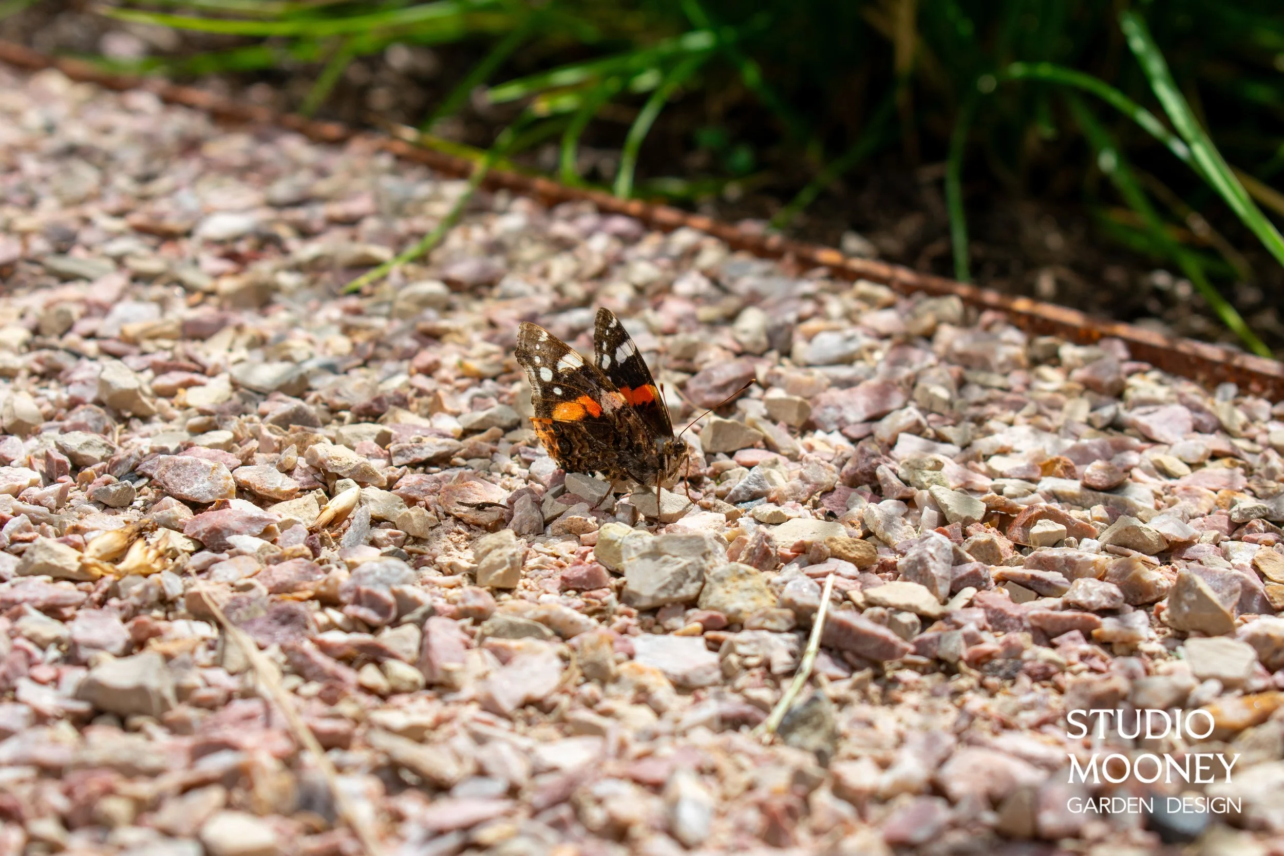 DSC_0391.jpg