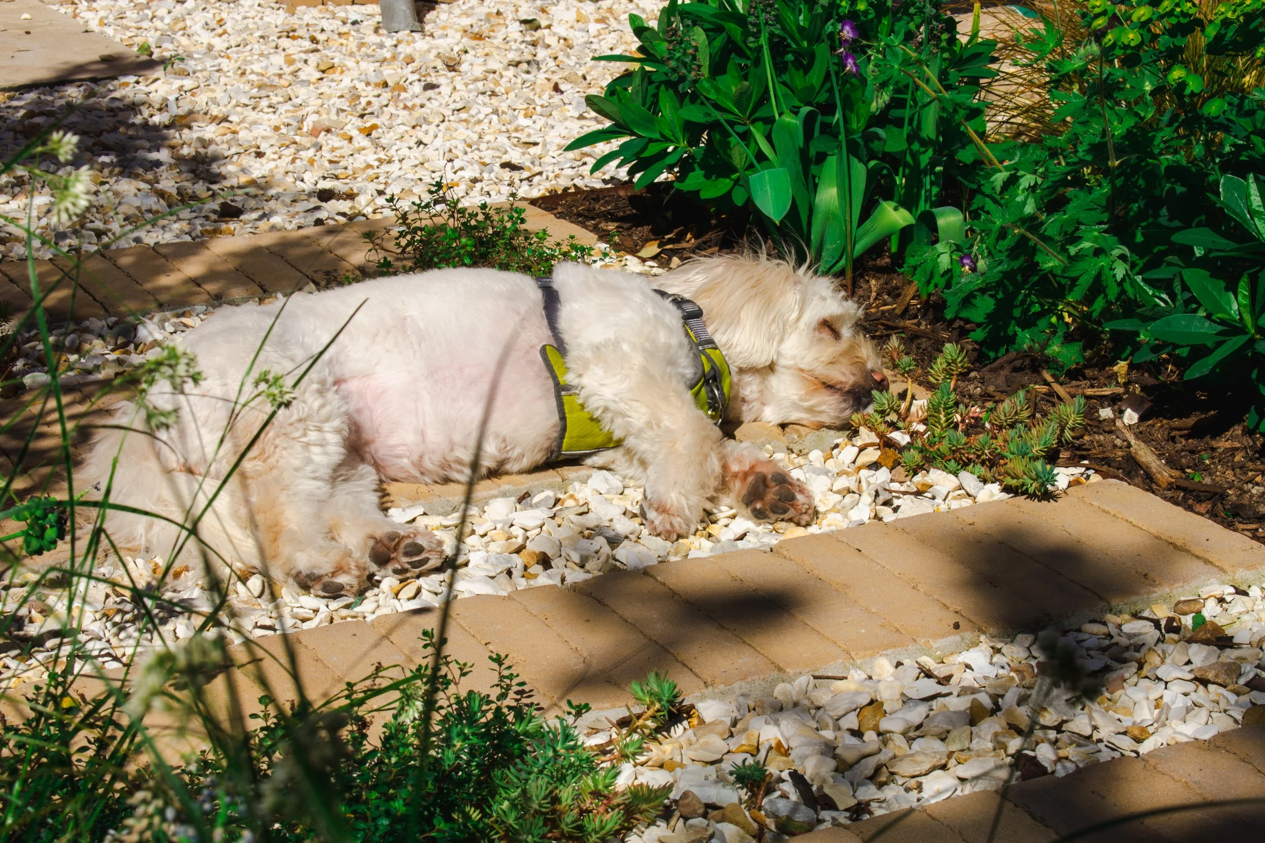 DSC_0149.jpg