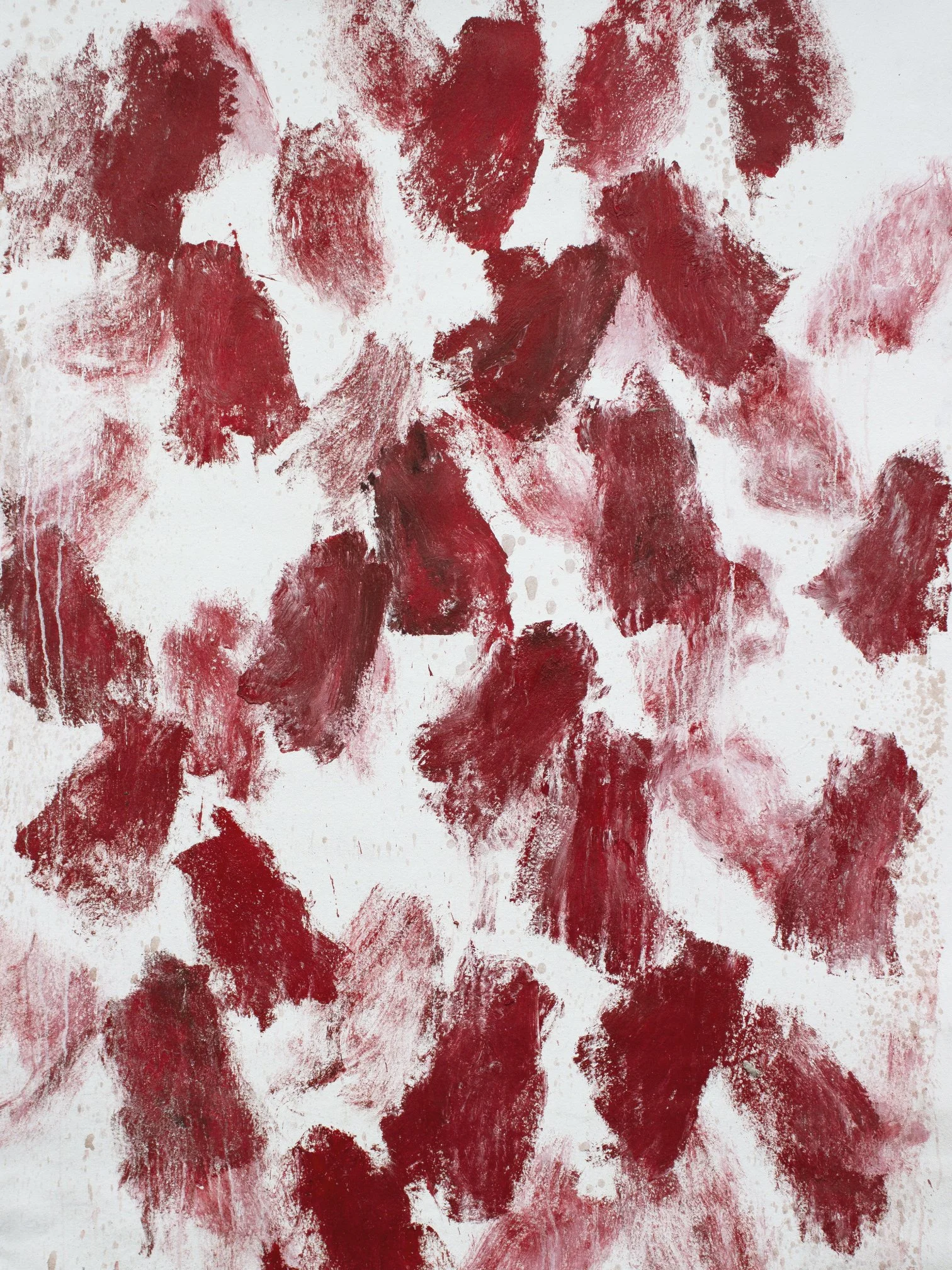 Callistemin 1, 2022 - oil and acrylic on canvas, 195x150cm