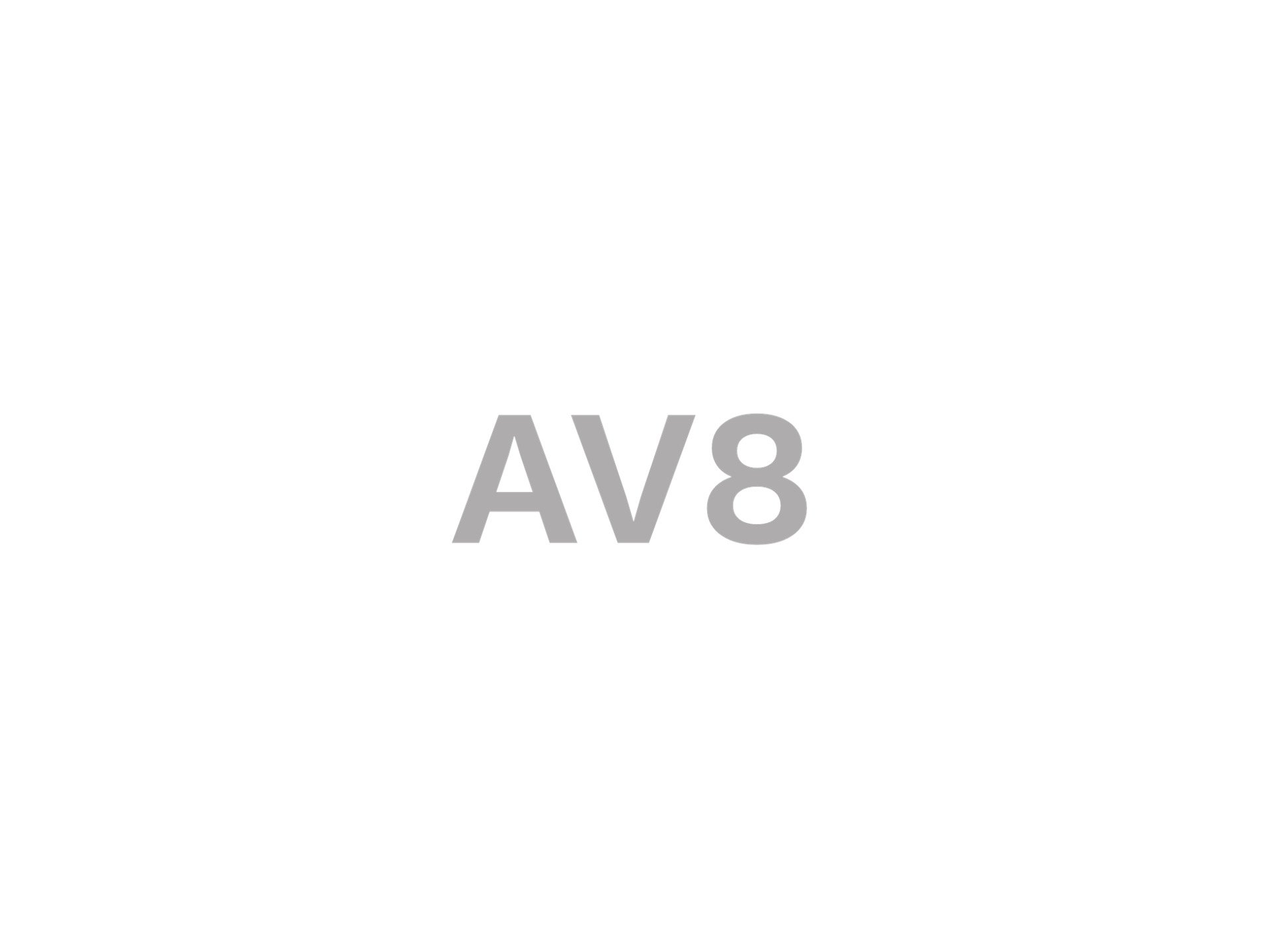 av8.jpg