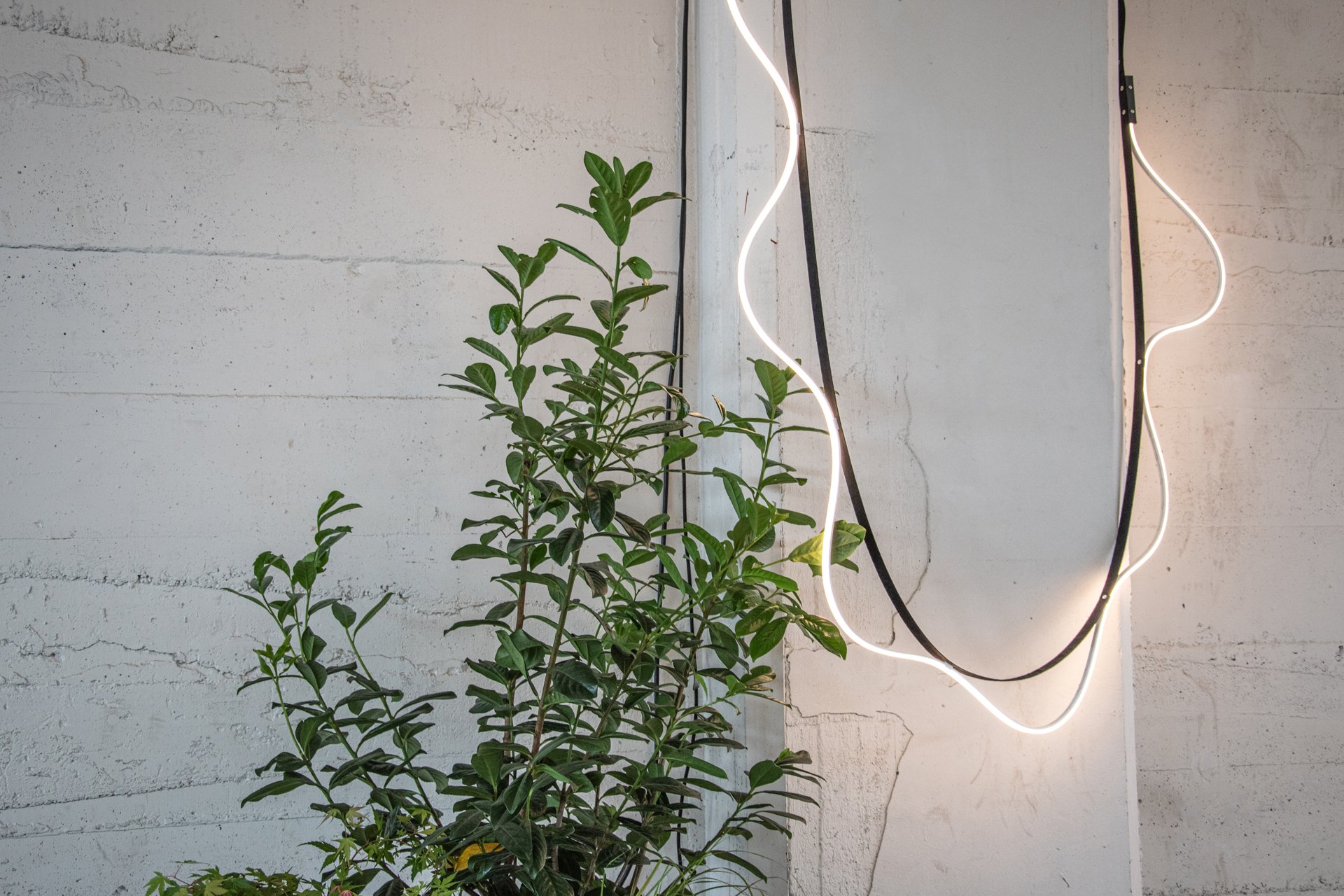 Sine Light Outdoor - black - [ARRAY] by David Derksen2.jpeg