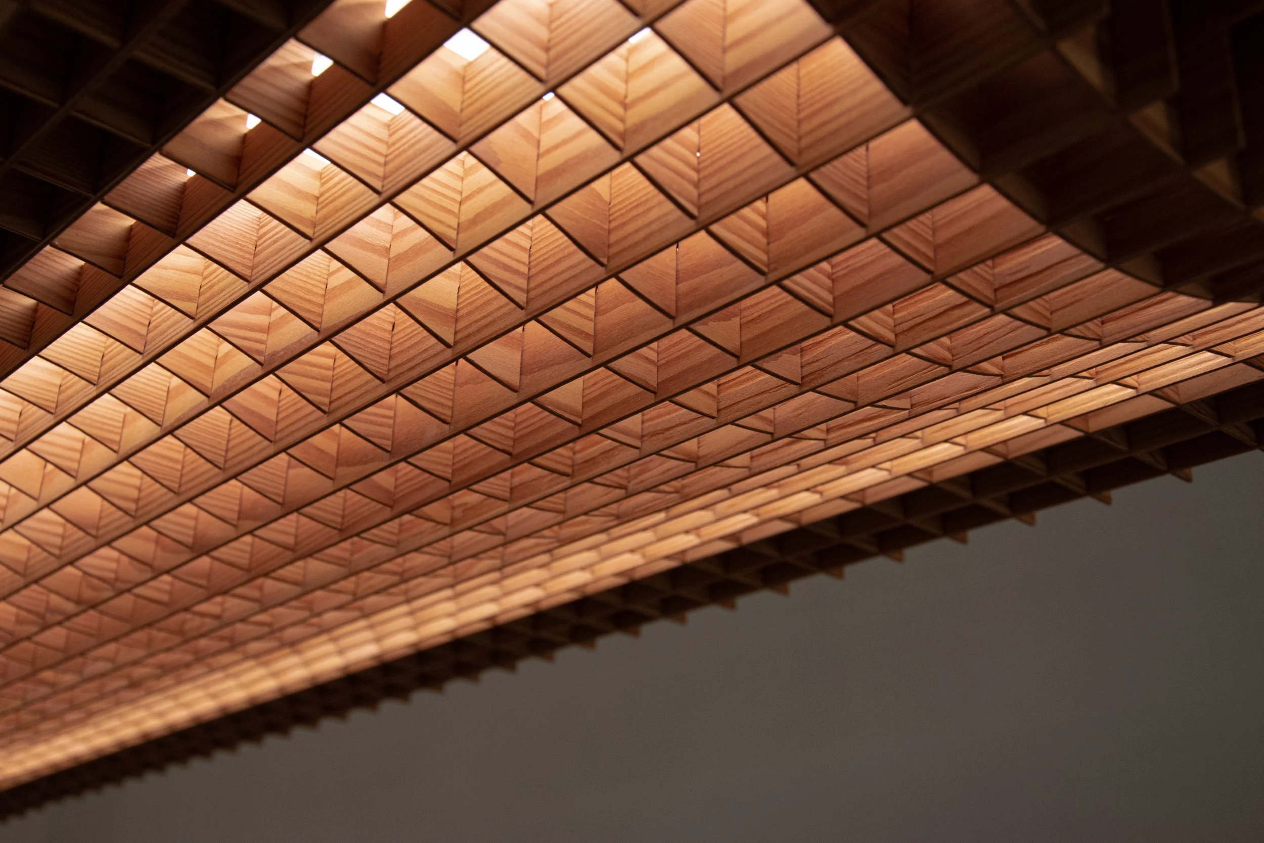 Close-up Lariks hout van Grid Panel