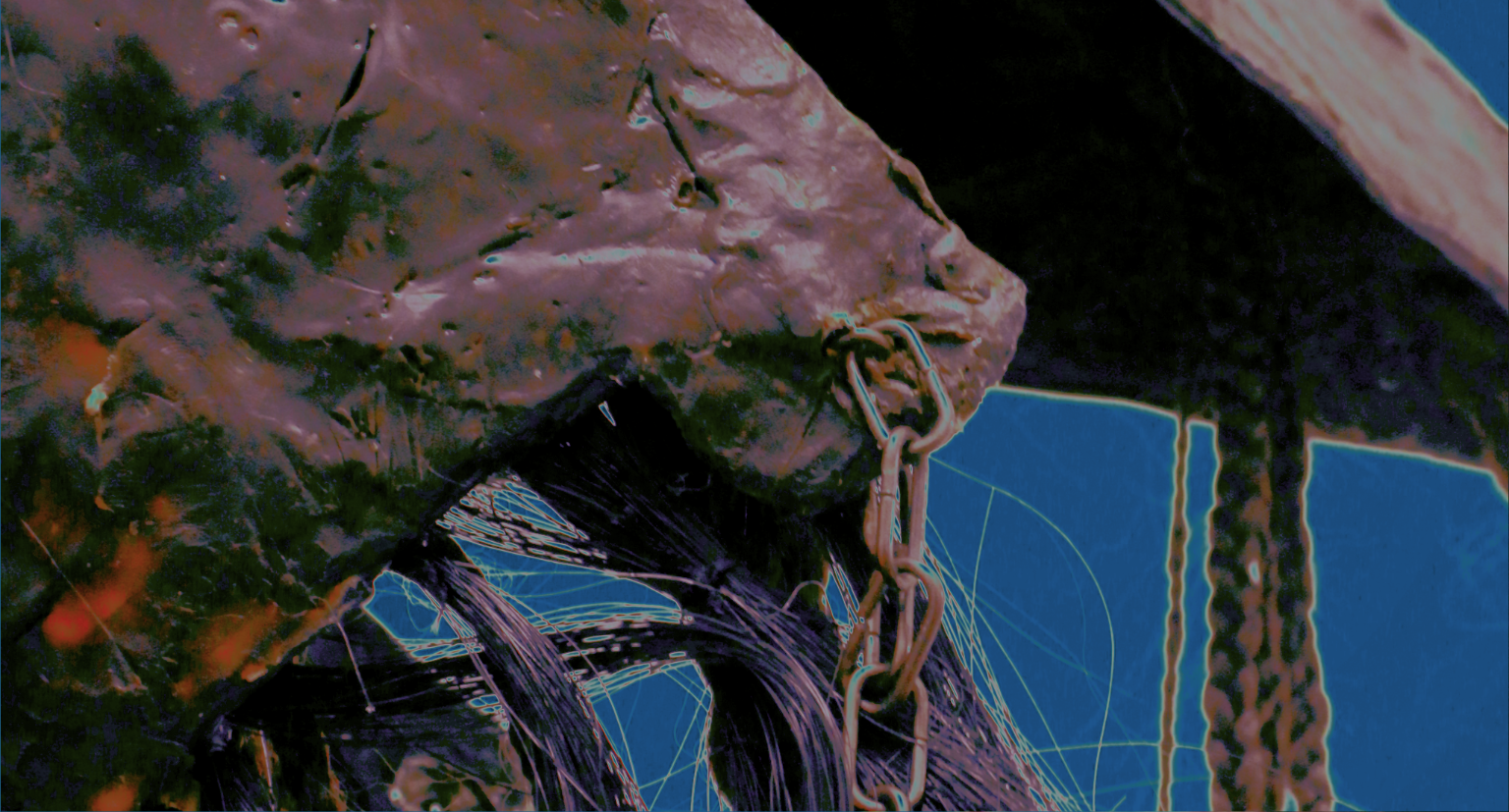 TASH - banner (no logo).png