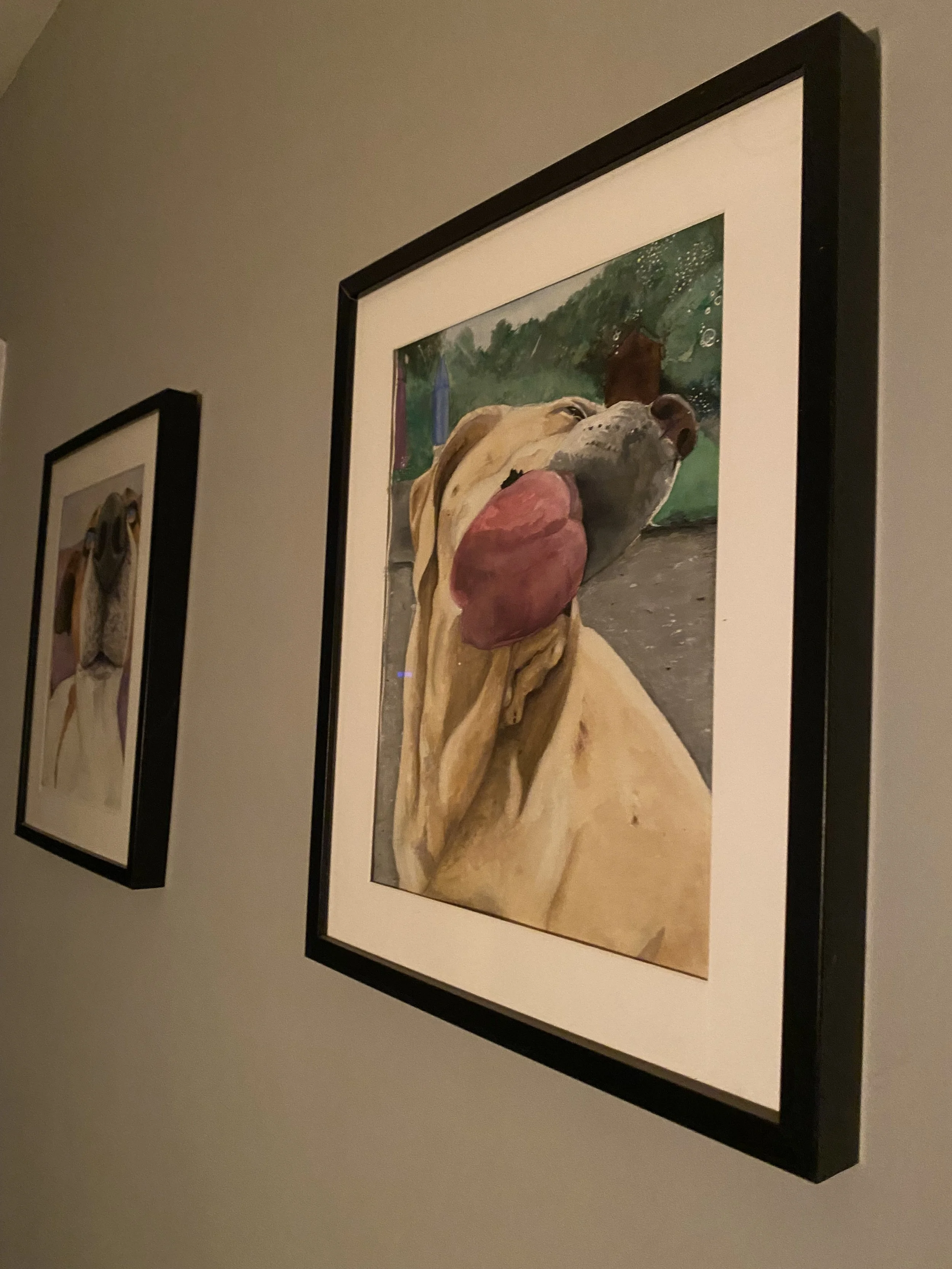 IMG_1393.jpeg