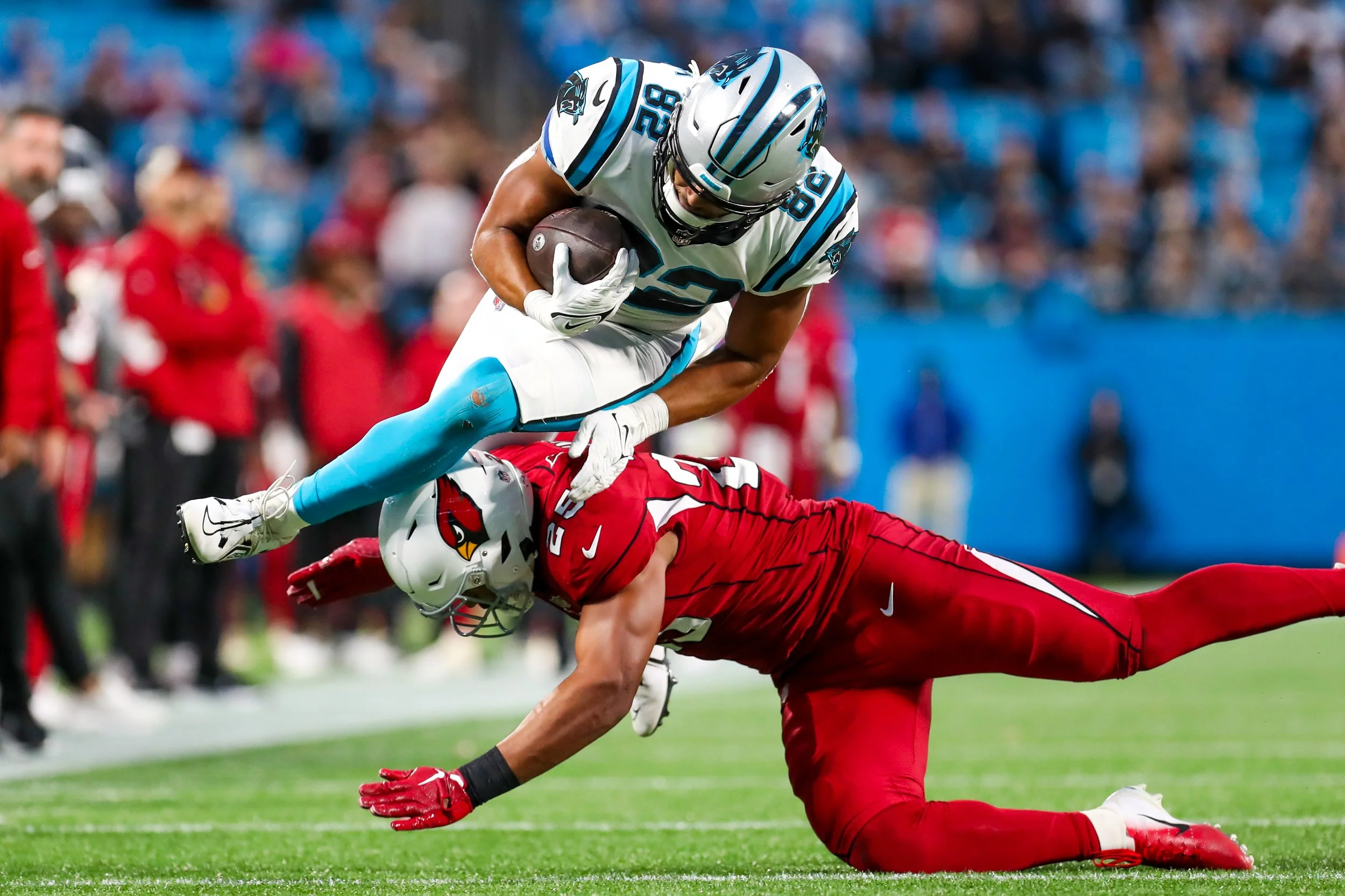 DJM_CarolinaPanthers_ArizonaCardinals_02OCT2022-446.jpg