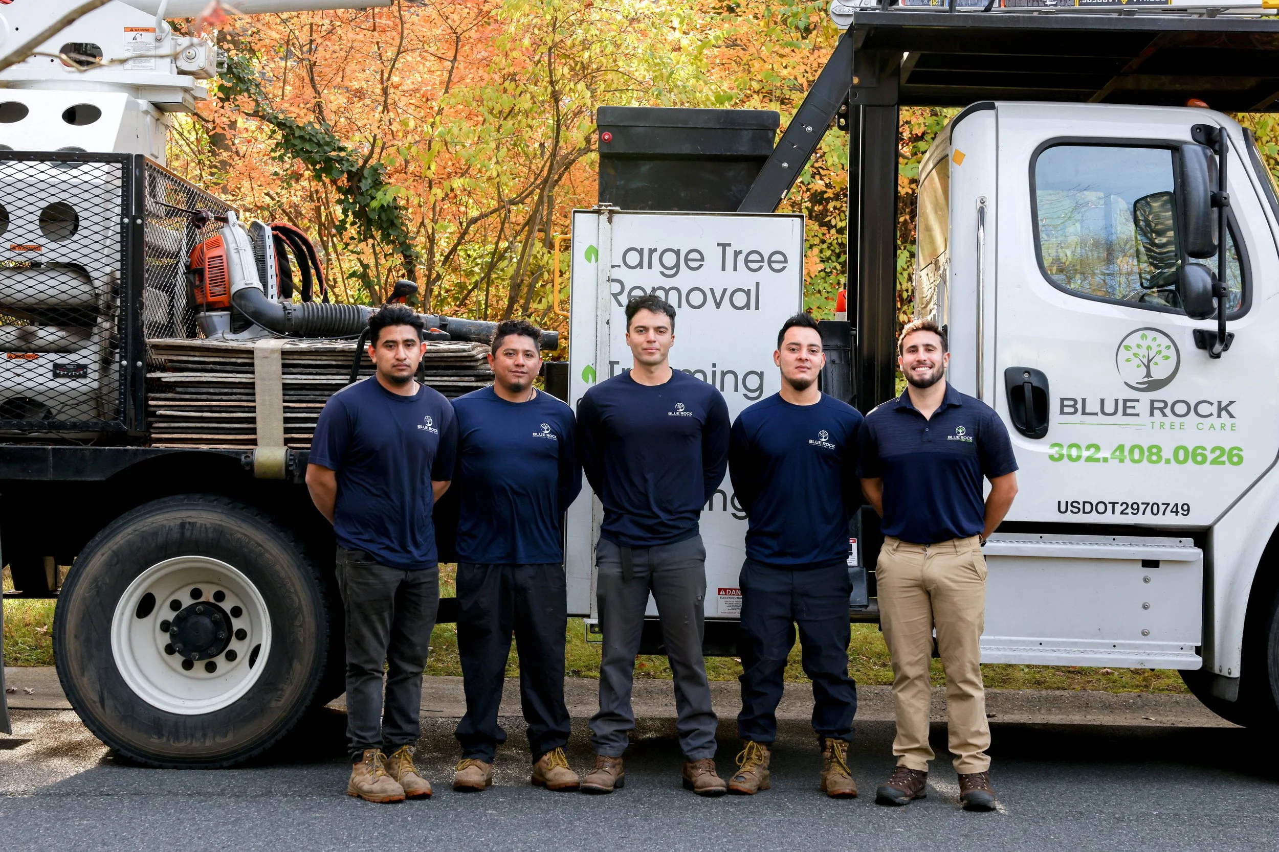 Blue Ridge Tree Man Tree Removal Services