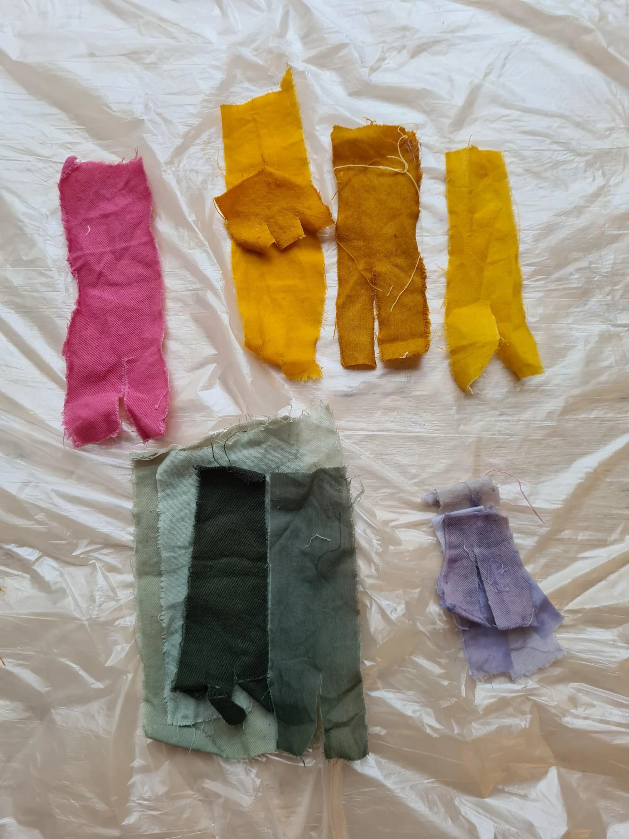 Samples natural dye dinah smutny.jpg