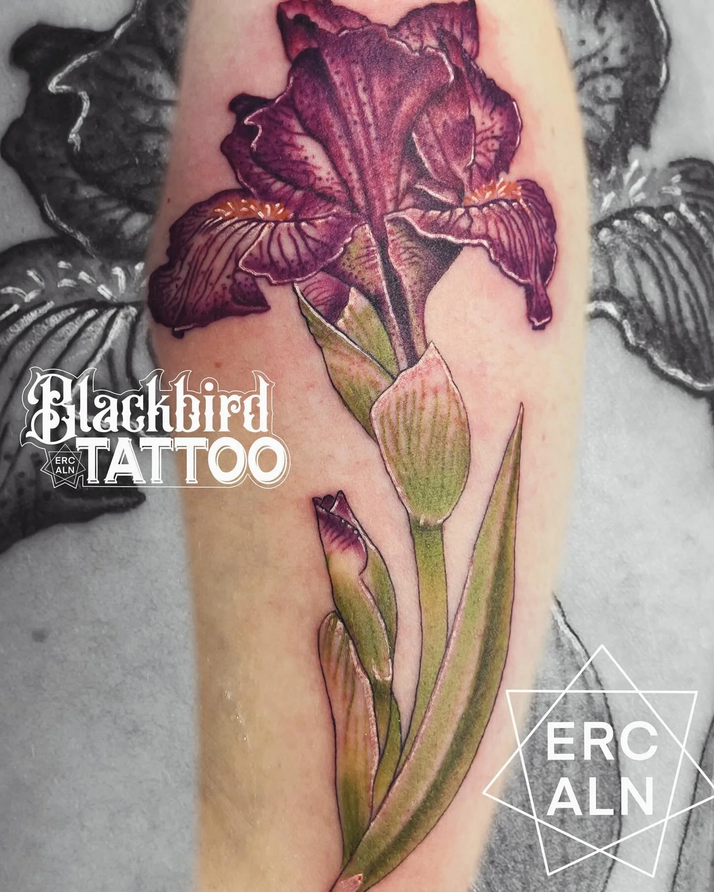A recreation from a photo of the clients&rsquo; family garden. Thanks for looking! Books open June-July &hellip;&hellip;&hellip;&hellip;&hellip;&hellip;&hellip;&hellip;.. #tattoo #tattoos #ink #inked #art #flowertattoo #bentonvillear #neotradeau #tat