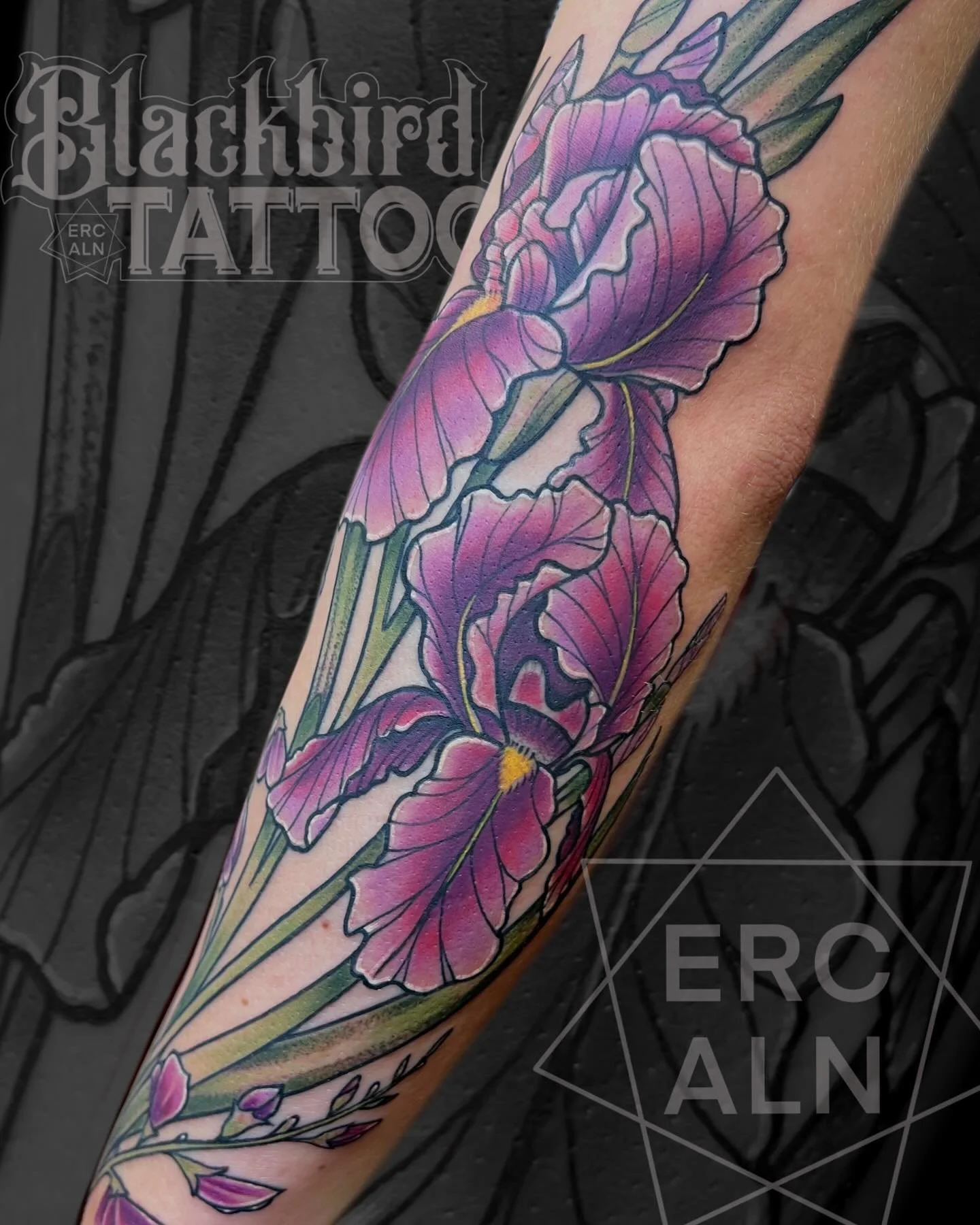 Here&rsquo;s another iris!  #iris #iristattoo #arkansastattoos #arkansastattooartist #nwa #floraltattoo #neotradeau #bentonville #fayetteville #uofa #springdale #colorbomb #colortattooartist #tattoo #arkansas #neotraditional #bentonvillearkansas #ben