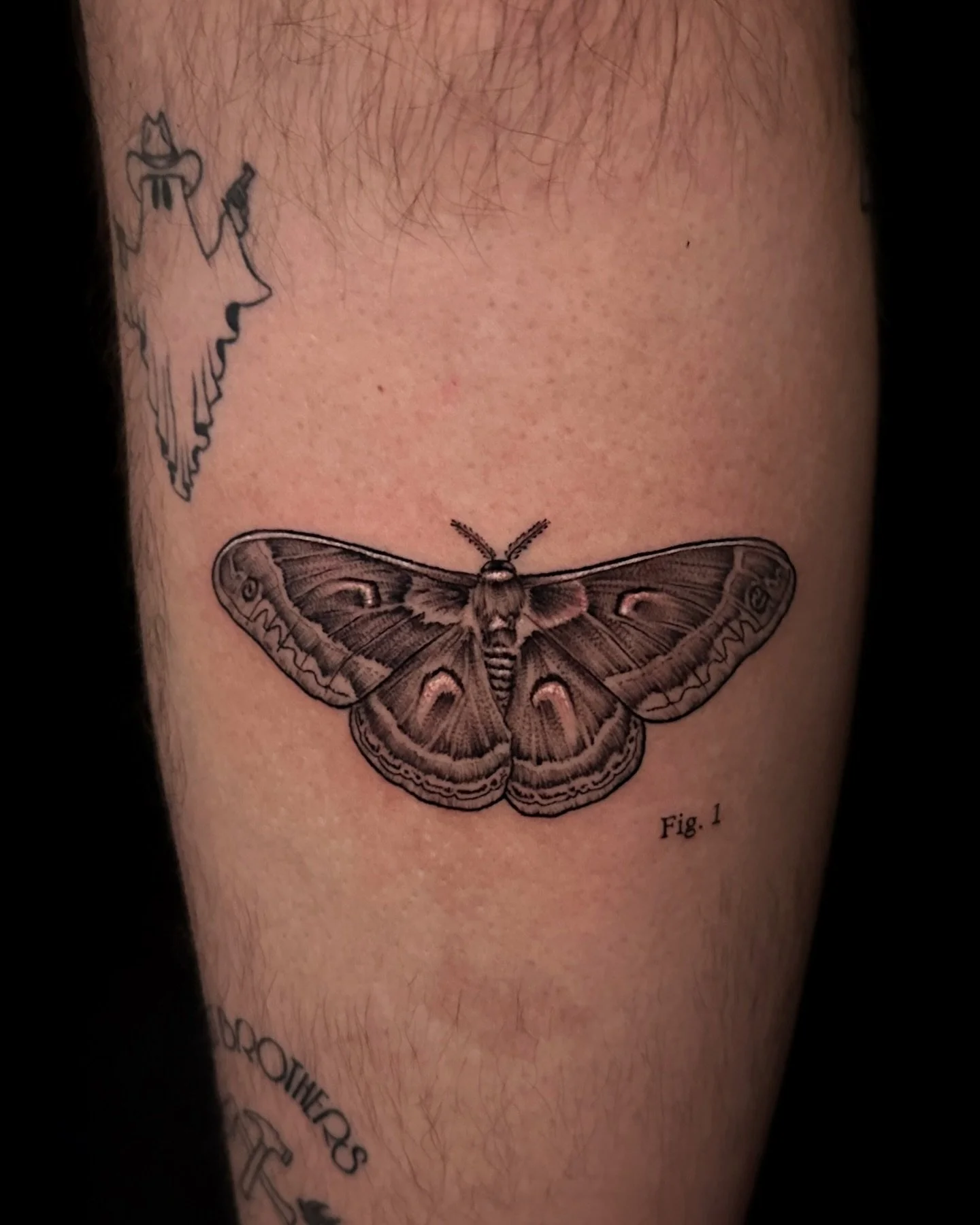 Cecropia moth for my amazing client !✨ft 2 other small bangers 🤩 #blackandgrey #blackandgreytattoo #mothtattoo #cecropiamoth #rogersarkansas #arkansas #arkansastattoos #arkansastattooartist #arkansastattoo #nwa #nwatattoo #nwatattooartist #dynamic #