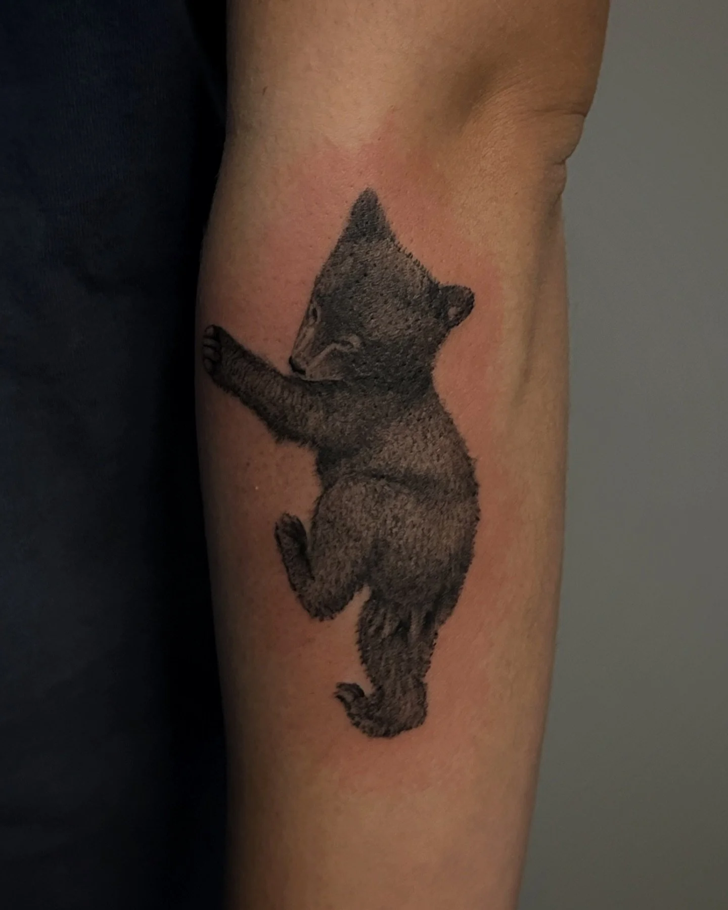 Lil bear guy! 🐻🧸 plus blasting Justin Bieber the whole time😂 #beartattoo #3rlonly #micro  #microrealismtattoo #blackandgrey #arkansas #rogersarkansas #arkansastattooartist #arkansasartist #arkansastattoos