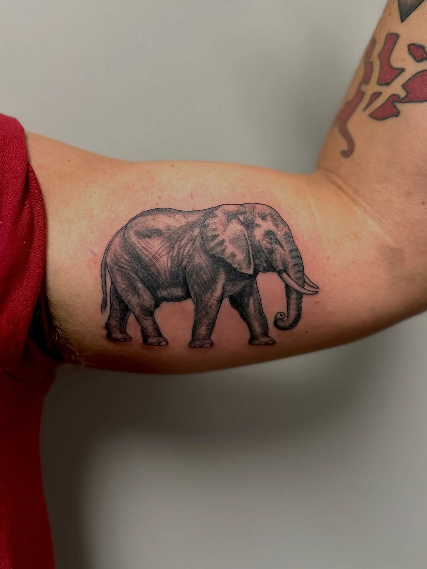 #northwestarkansas #northwestarkansastattooartist #rogersarkansas #downtownrogersar #downtownrogersarkansas #rogersarkansastattoos #bentonvillearkansas #bentonvilleartattoo #springdalearkansas #springdaleartattoo #arkansastattooer #nwarkansas #nwabus