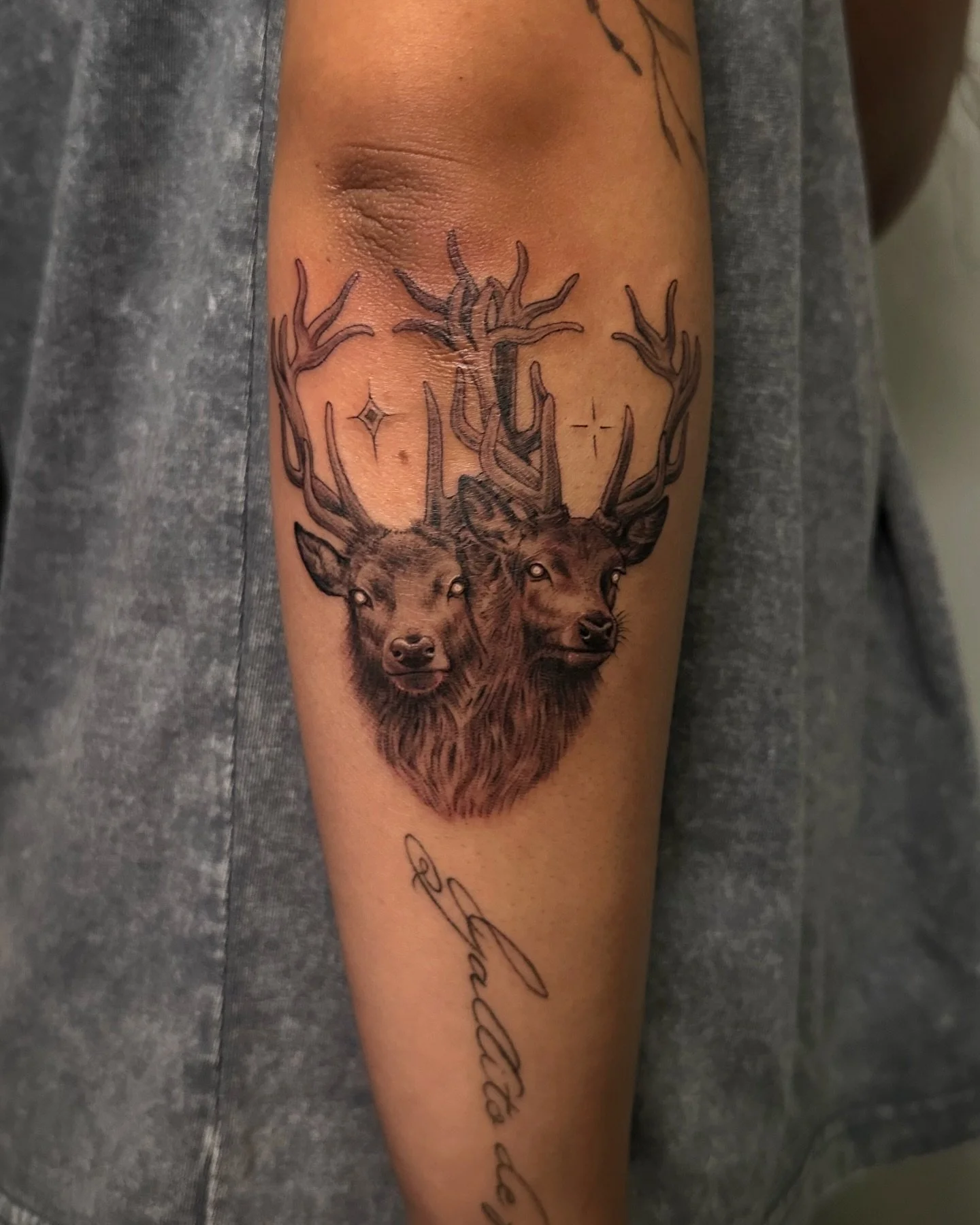 Custom 2 headed Stag !🔥 I NEED MORE SURREALISM 😭 absolutely love this guy! #deer #stag #stagtattoo #arkansas #arkansastattoos