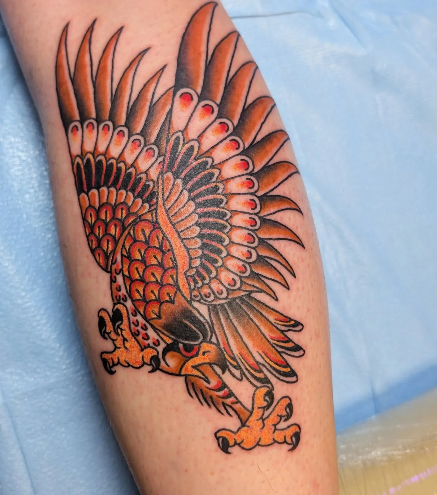 Fierce falcon for Landon 🦅 yeehaw