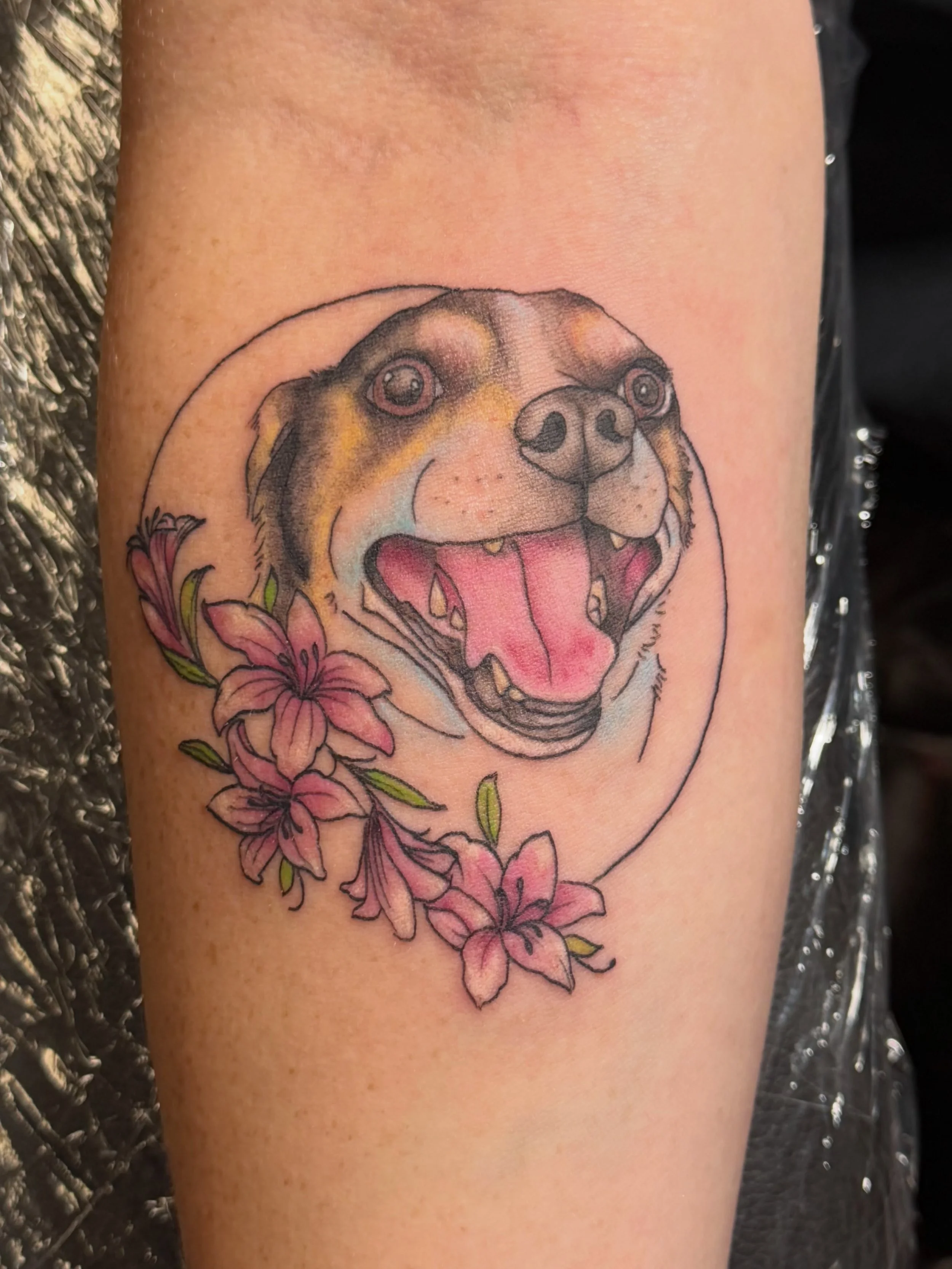 Come see me for your pet portraits!!! So happy I got to see my tattoo friend @divacattats and get something on her finally!! 🥰💕✨🌷