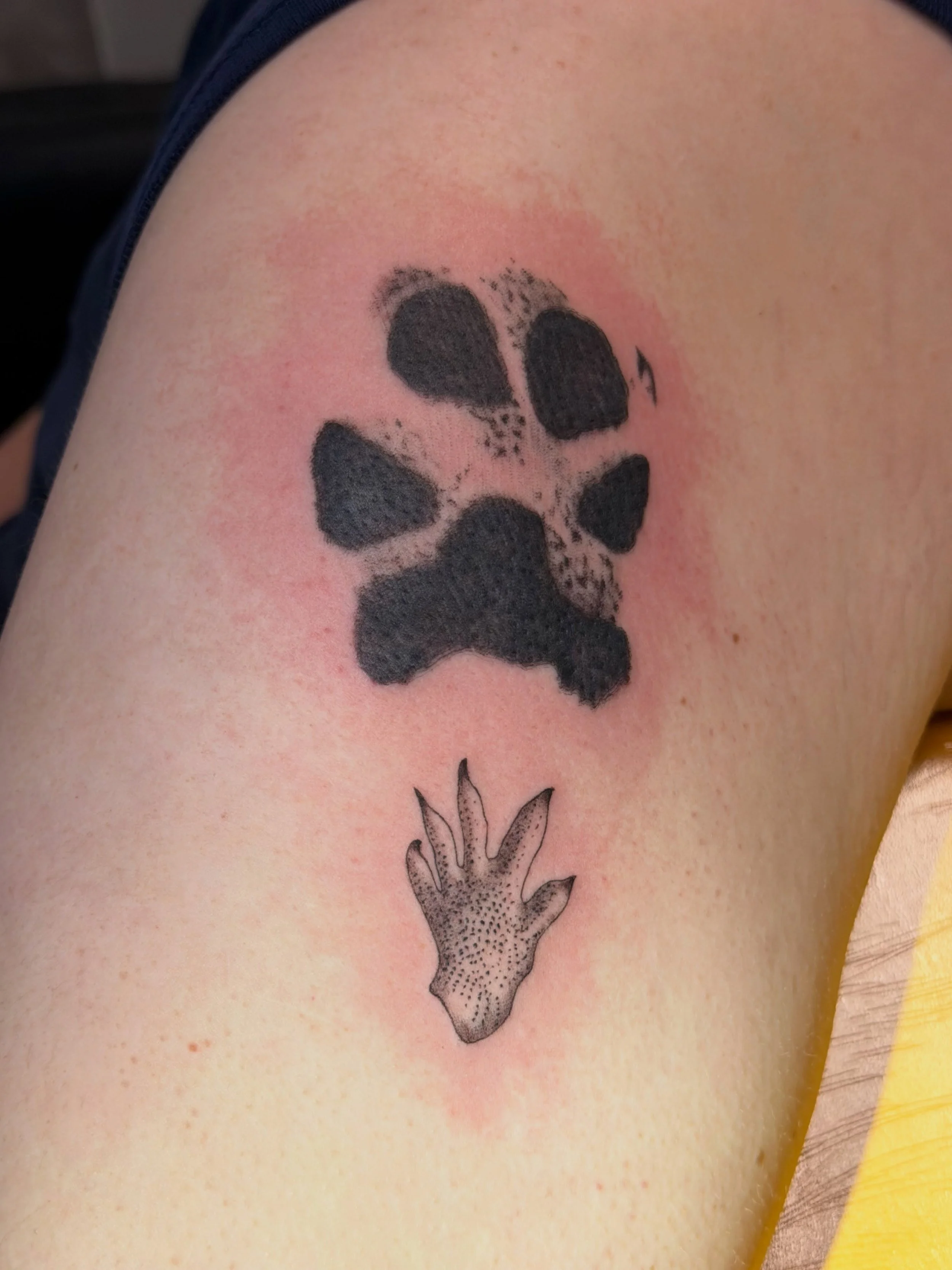 Bilateral puppy paws and bearded dragon peets!!! How cool is this one?!