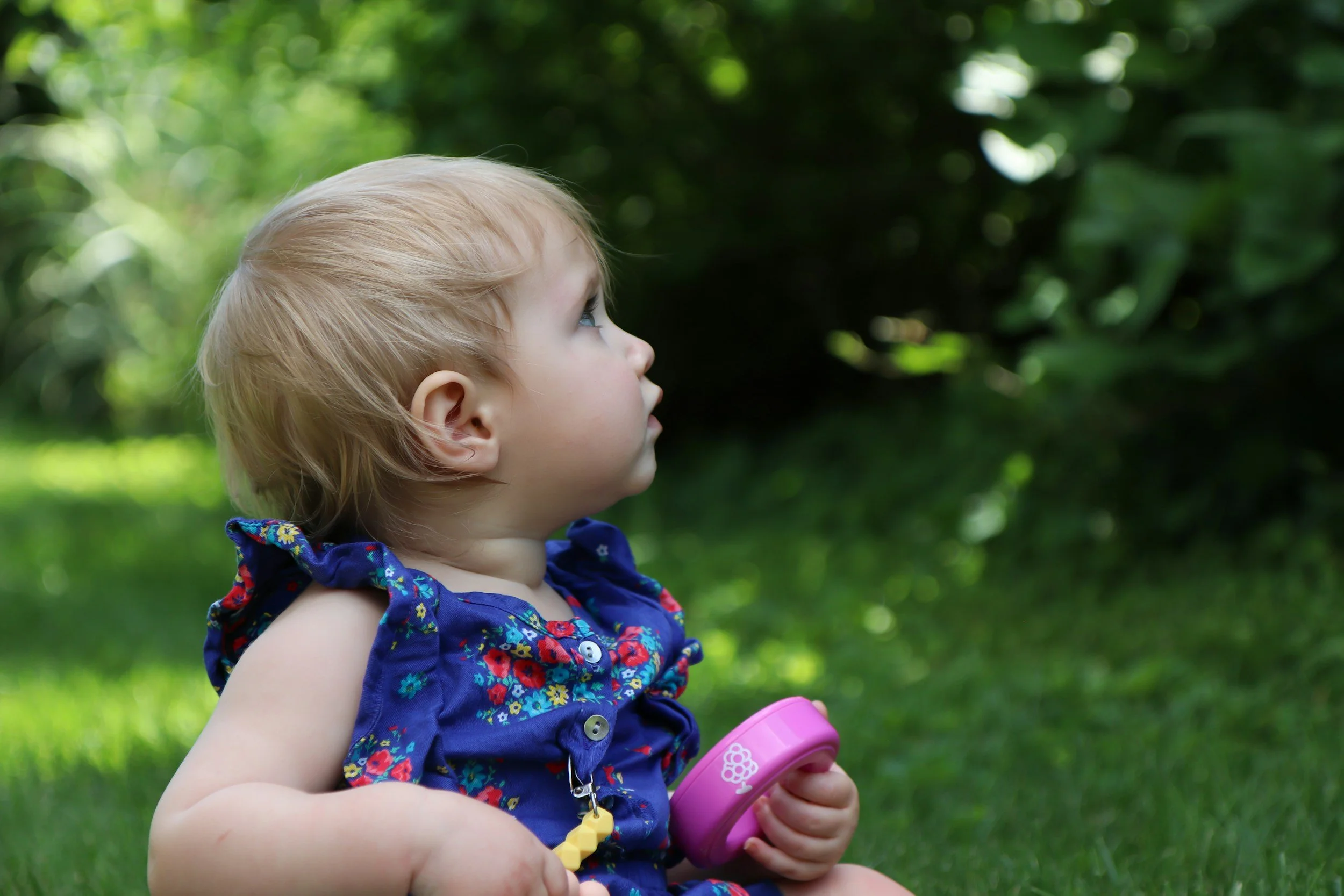 Dirt, Screens, and Everything In Between: Nature Learning for the iPad Generation
