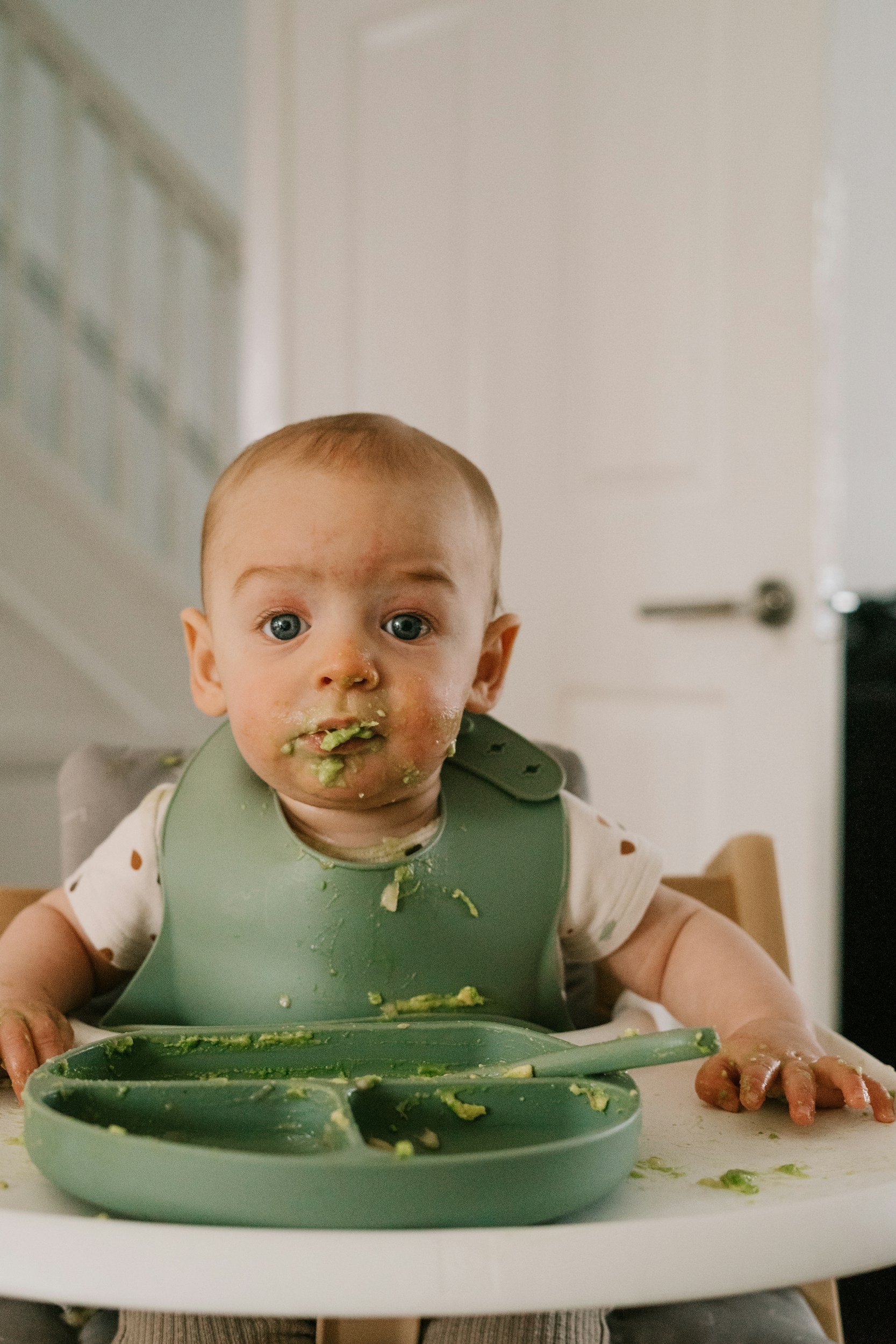 Adventures in Solid Foods: A Parent's Guide to the Great Food Introduction