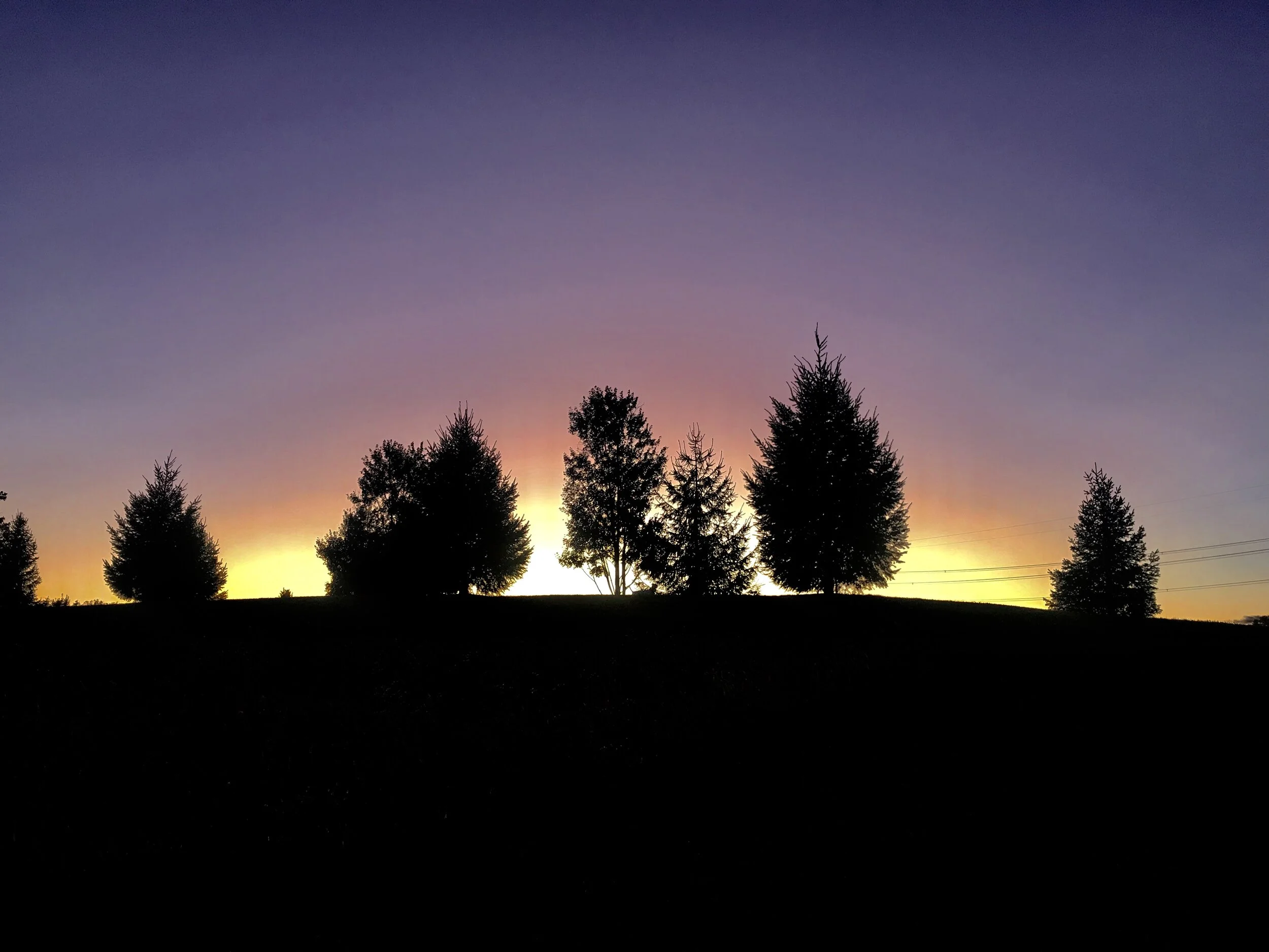 IMG_7122.JPEG