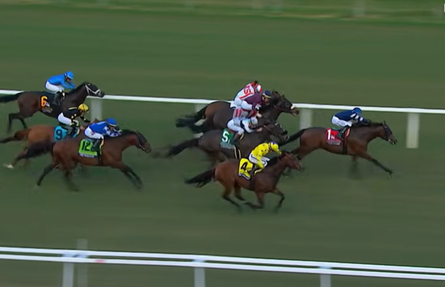 TEST SCORE Aces the G1 Pegasus World Cup Turf