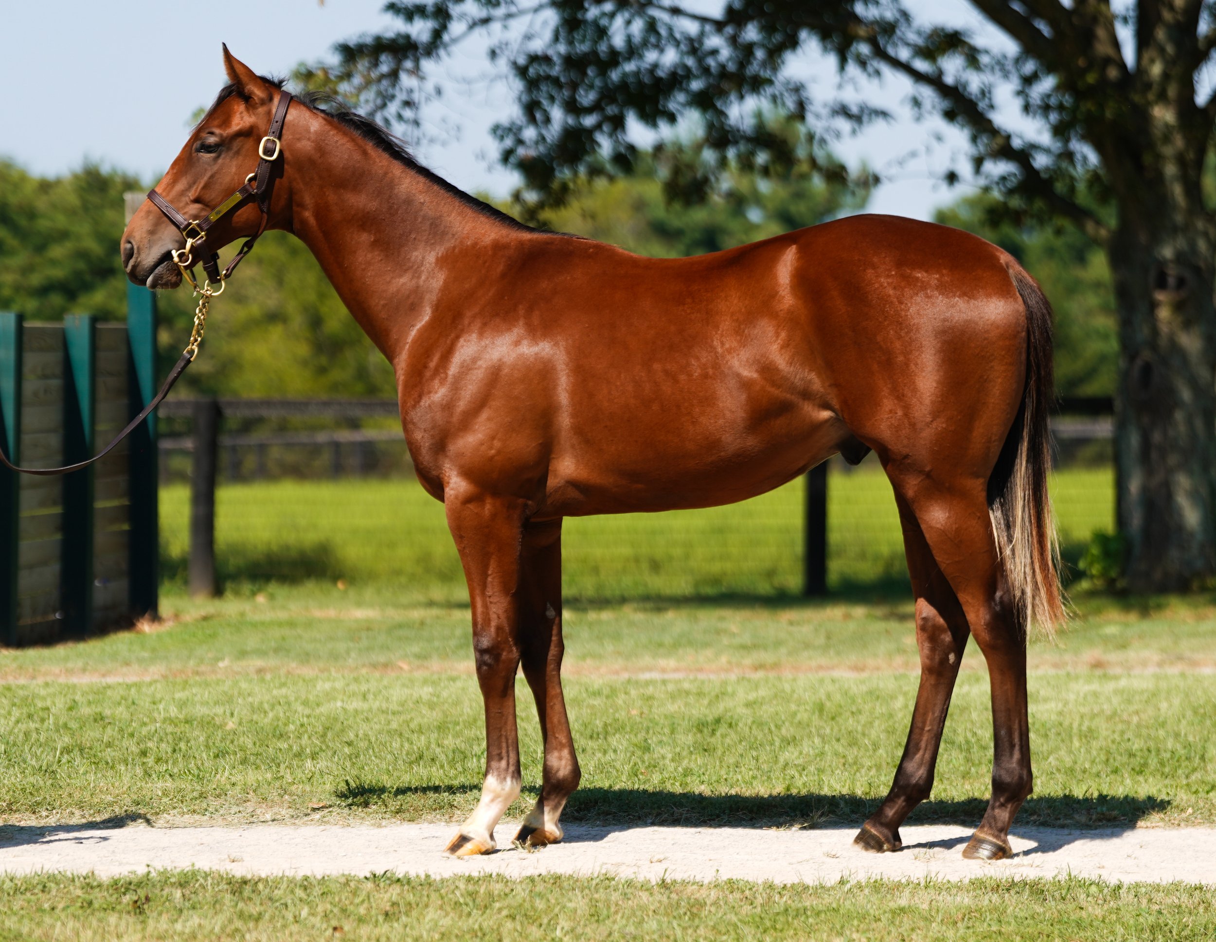 Hip 1764 c. LIFE IS GOOD - DANCE TO BRISTOL